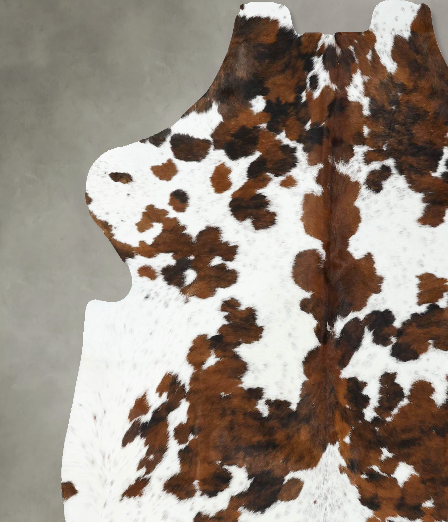 Tricolor Cowhide Rug #B22555