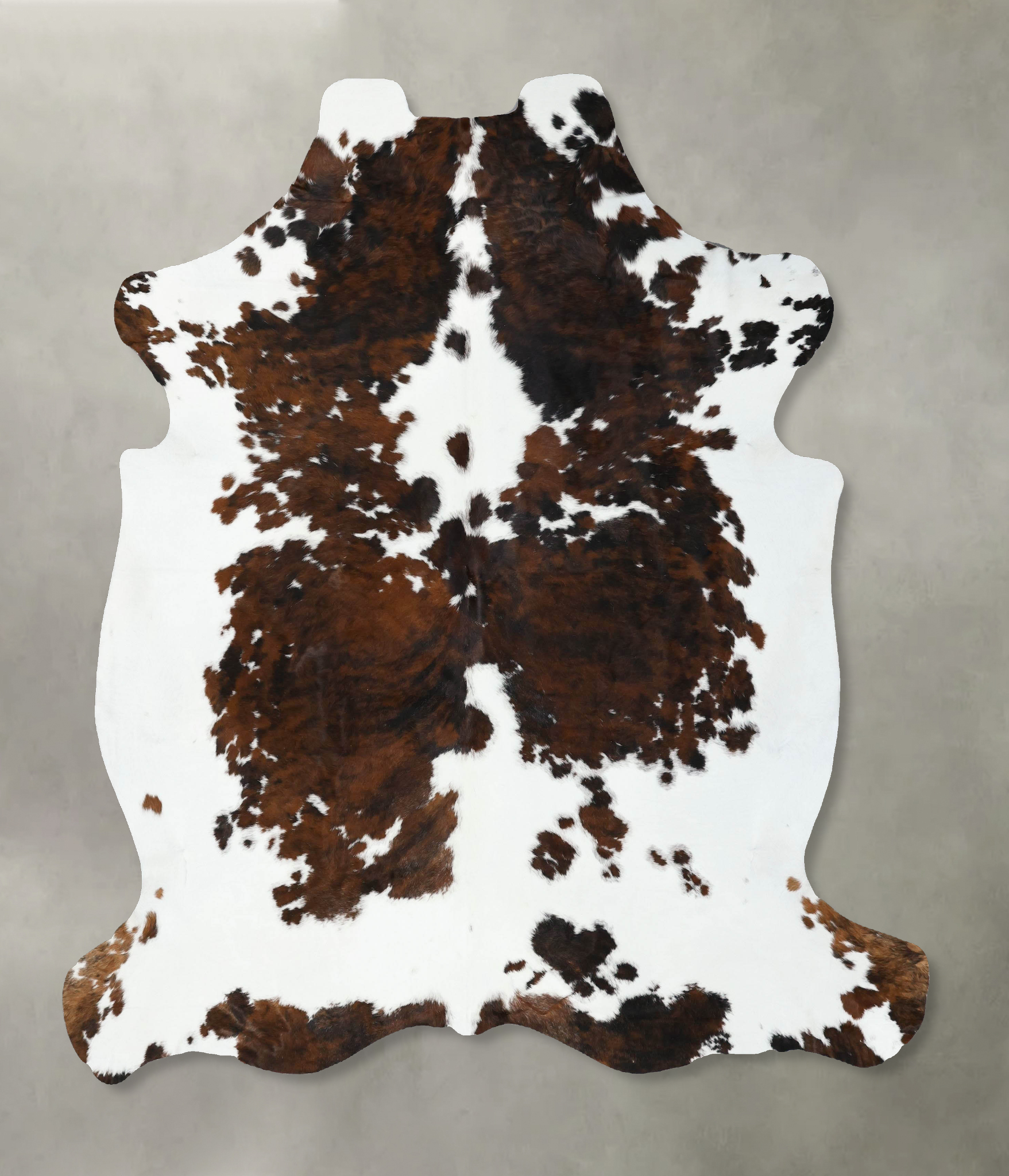 Tricolor Cowhide Rug #B22556