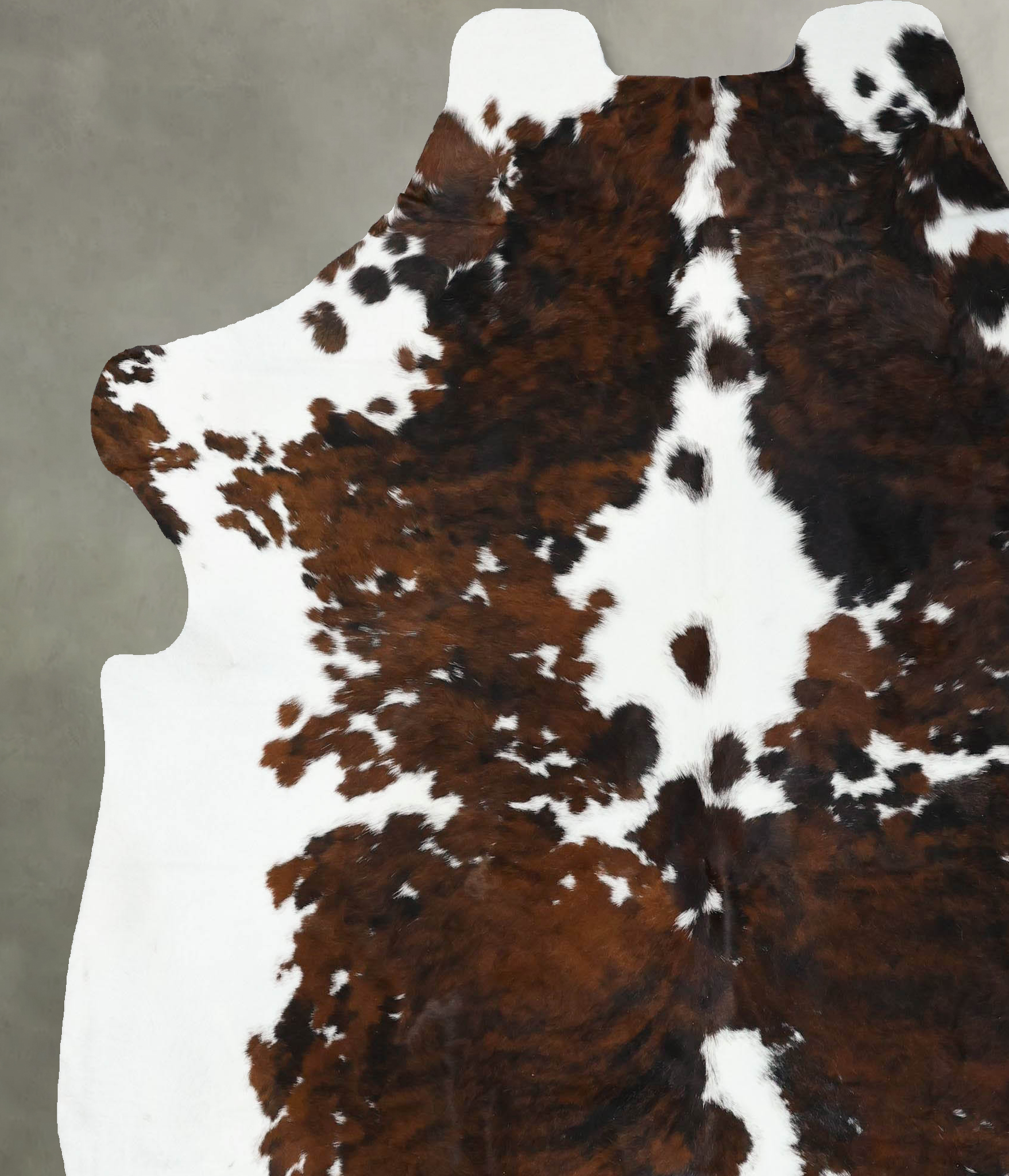 Tricolor Cowhide Rug #B22556