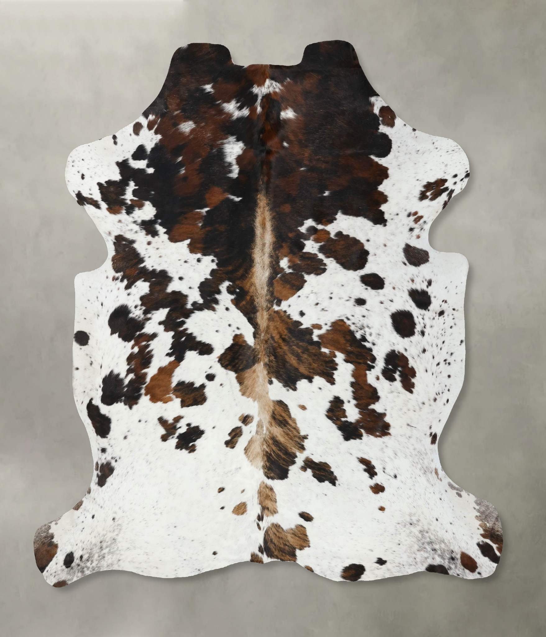 Tricolor Cowhide Rug #B22557