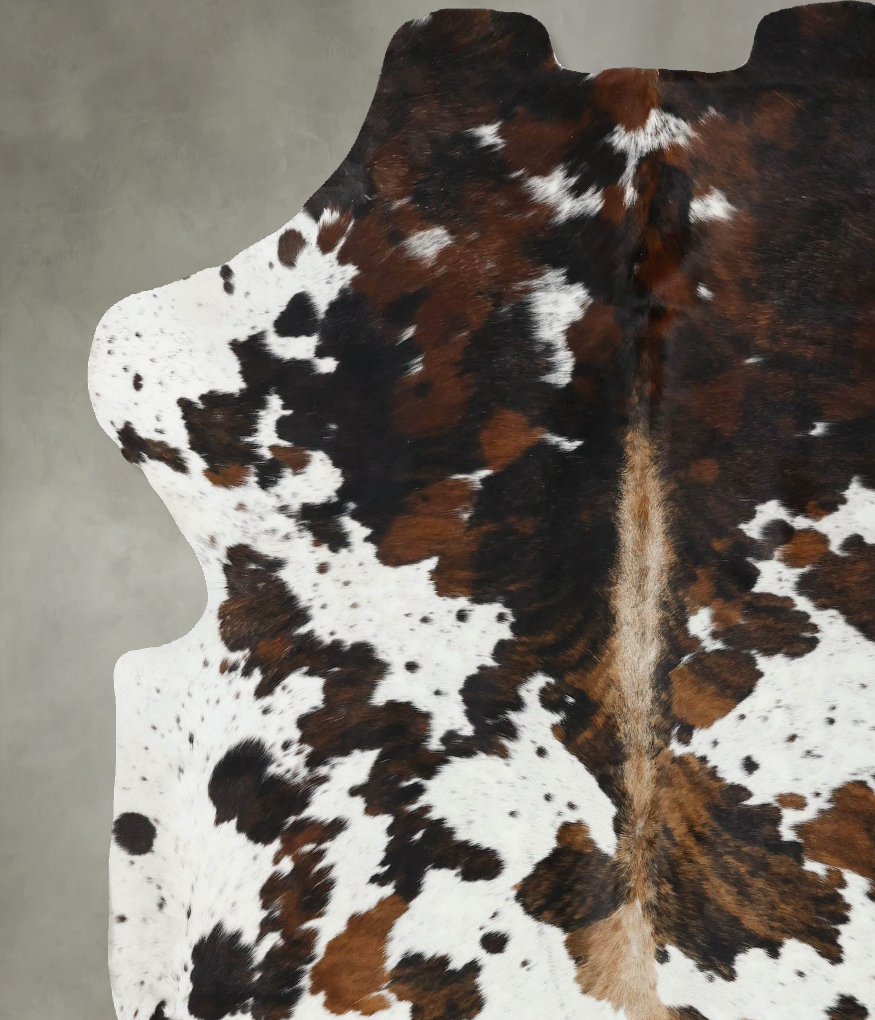 Tricolor Cowhide Rug #B22557