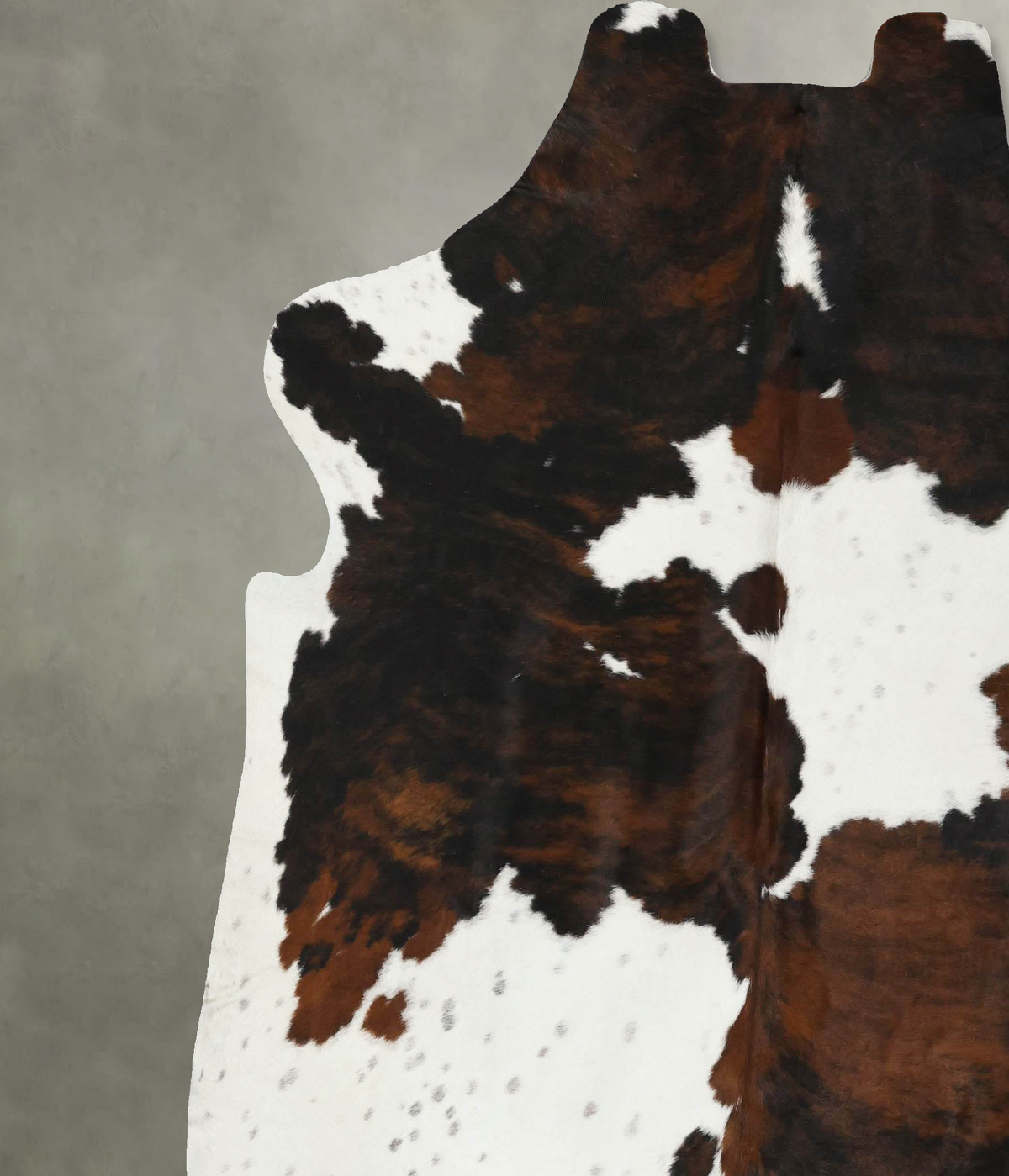 Tricolor XX-Large European Cowhide Rug 7'3"H x 7'1"W #B22560 by Hudson Hides
