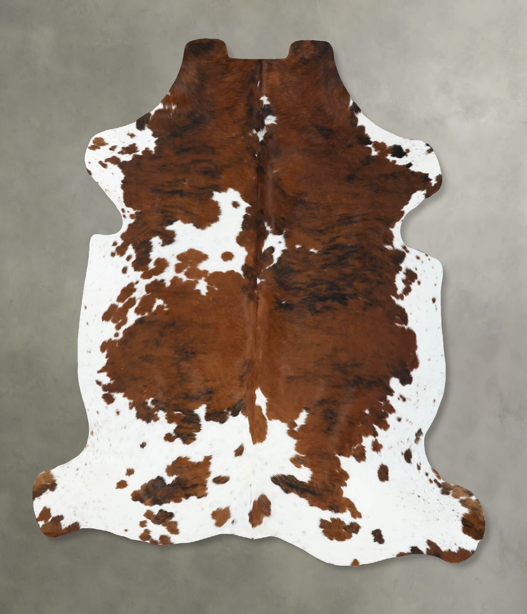 Tricolor Cowhide Rug #B22561