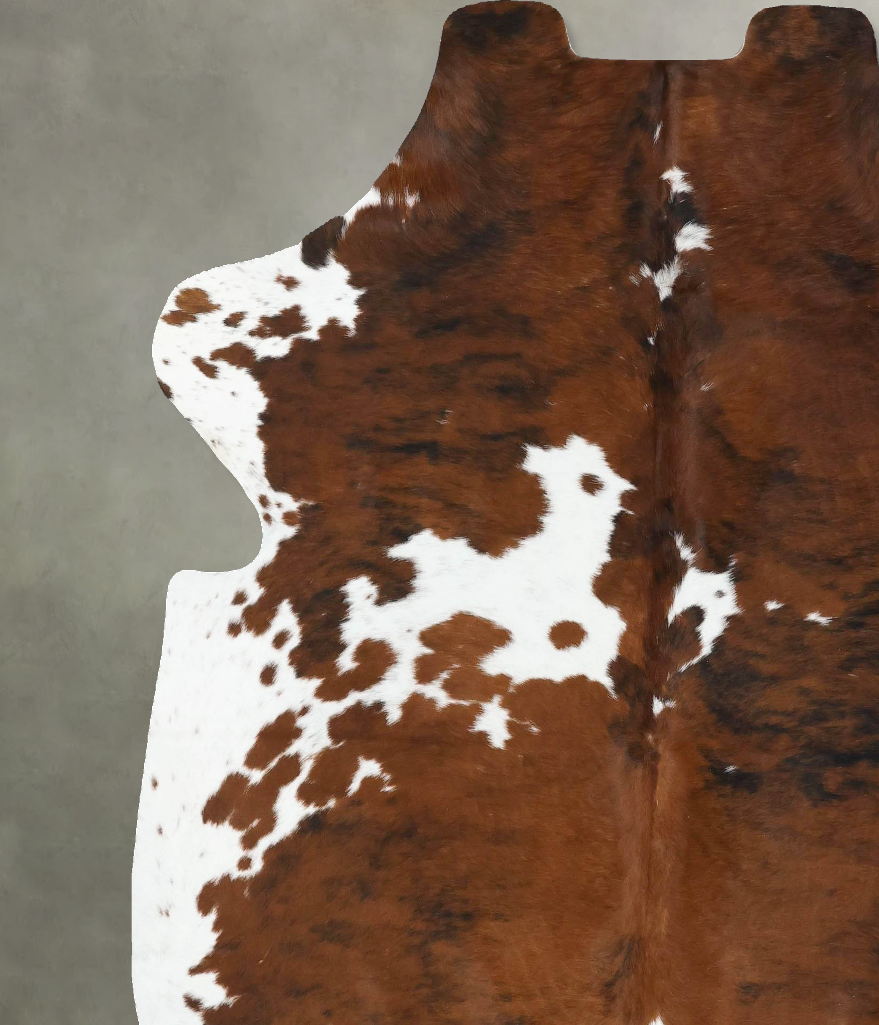 Tricolor Cowhide Rug #B22561