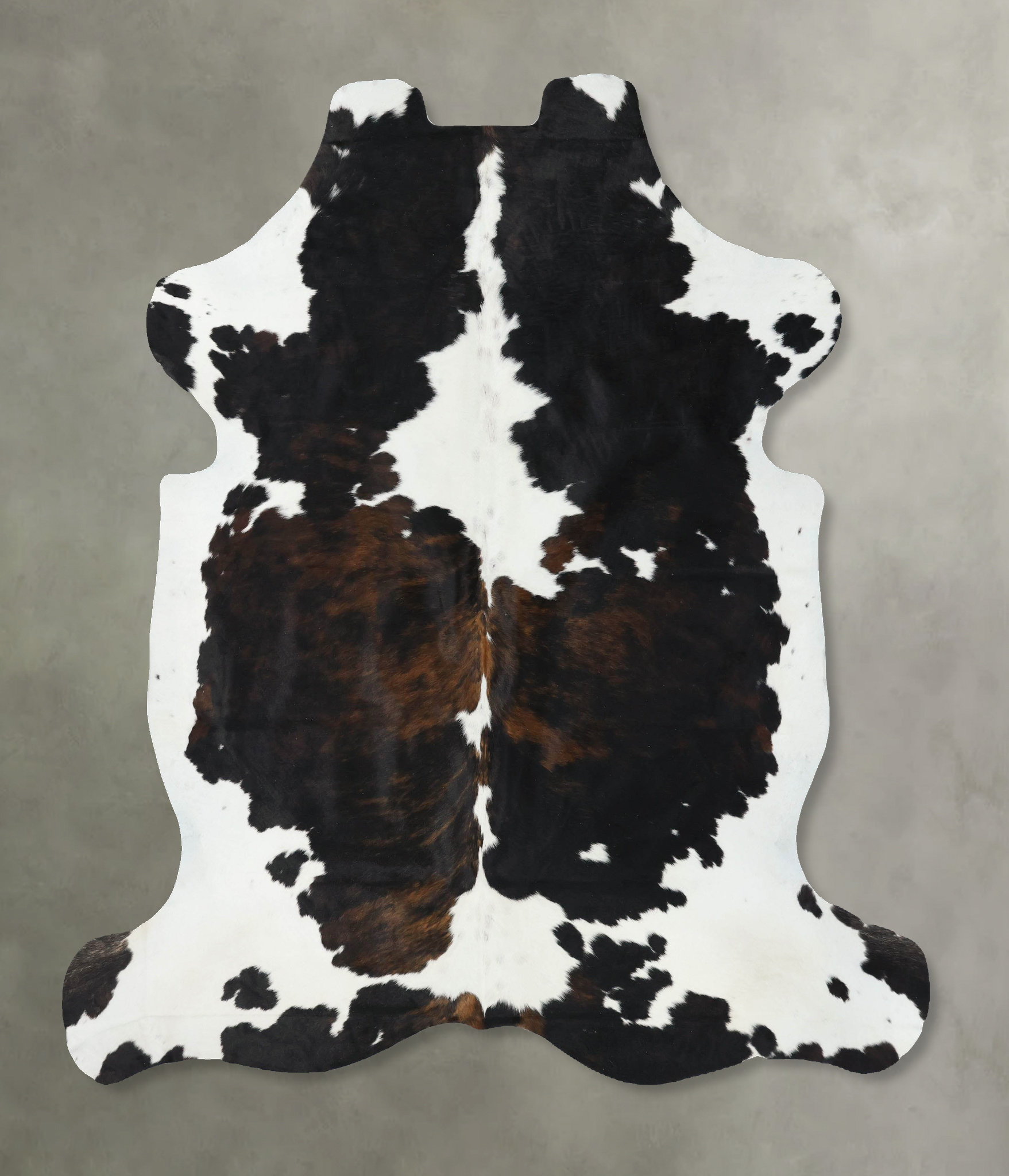 Tricolor Cowhide Rug #B22562