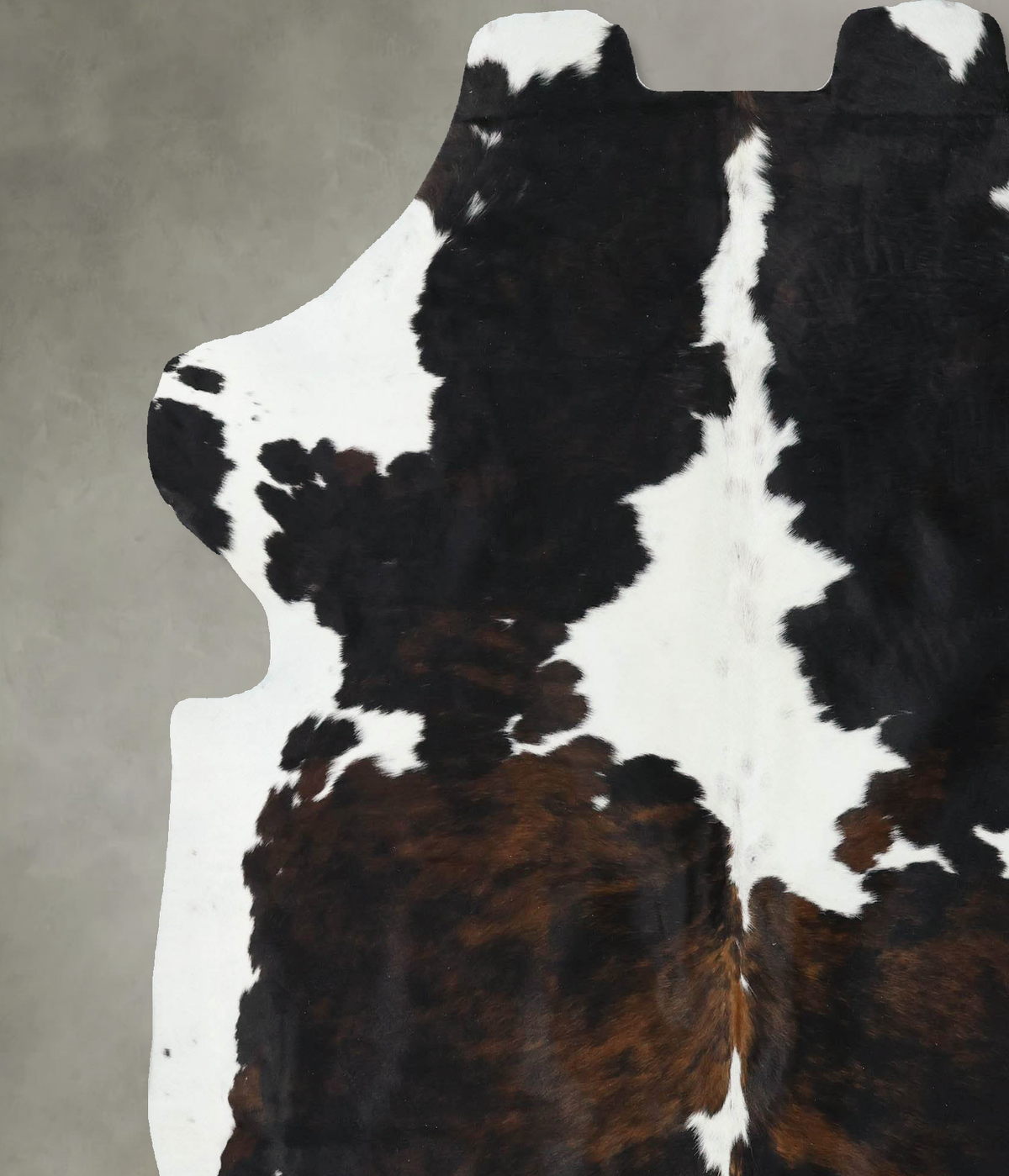 Tricolor X-Large European Cowhide Rug 7'4"H x 6'7"W #B22562 by Hudson Hides