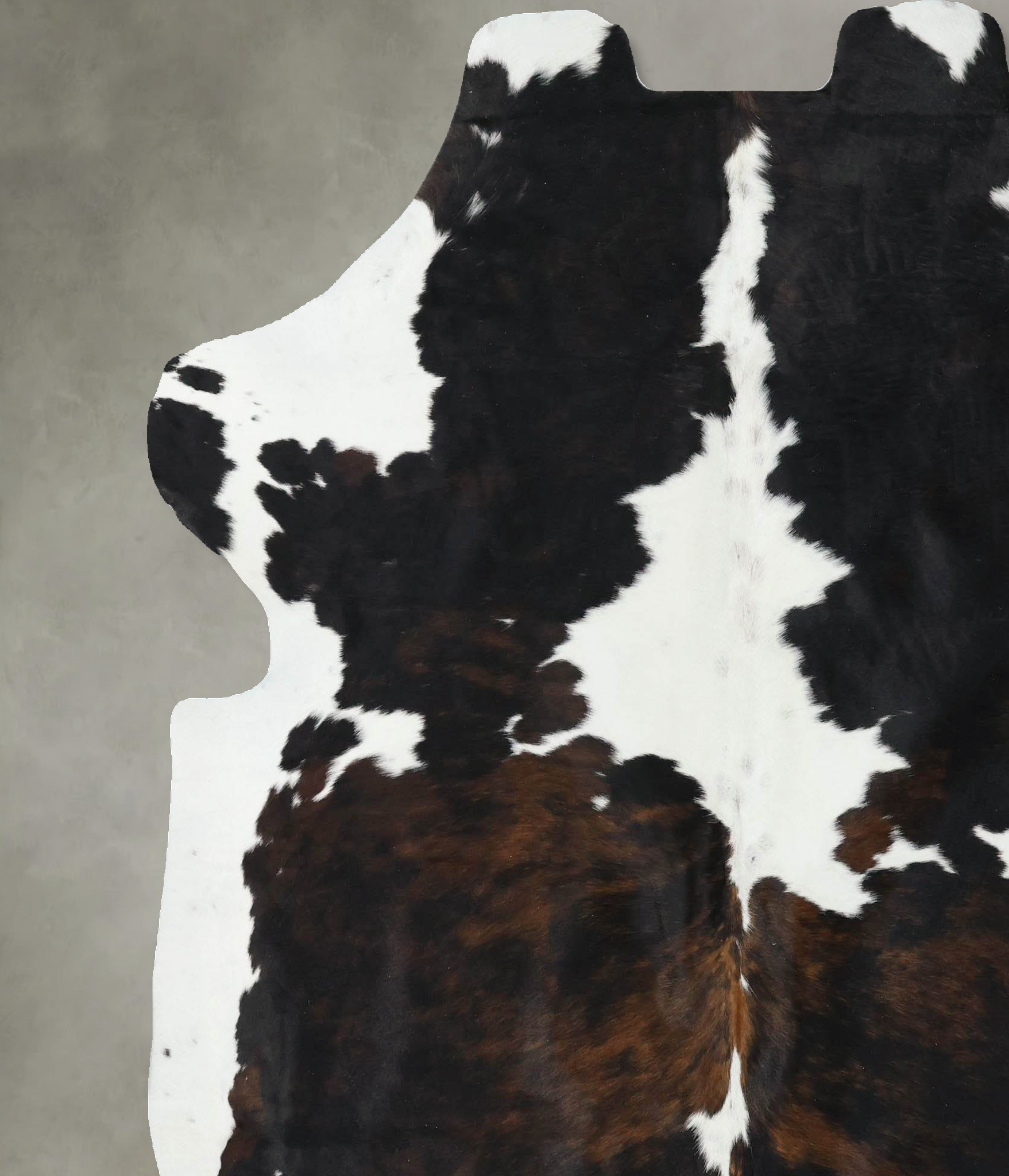 Tricolor Cowhide Rug #B22562
