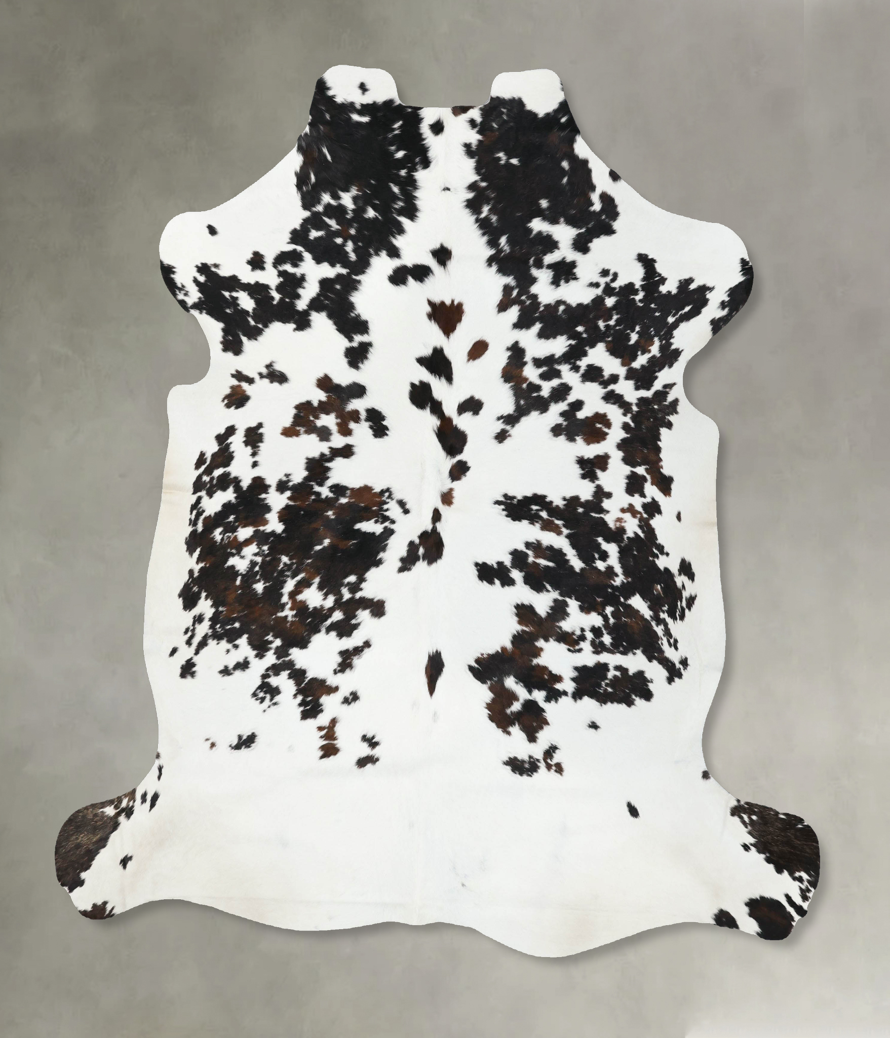 Tricolor Cowhide Rug #B22563