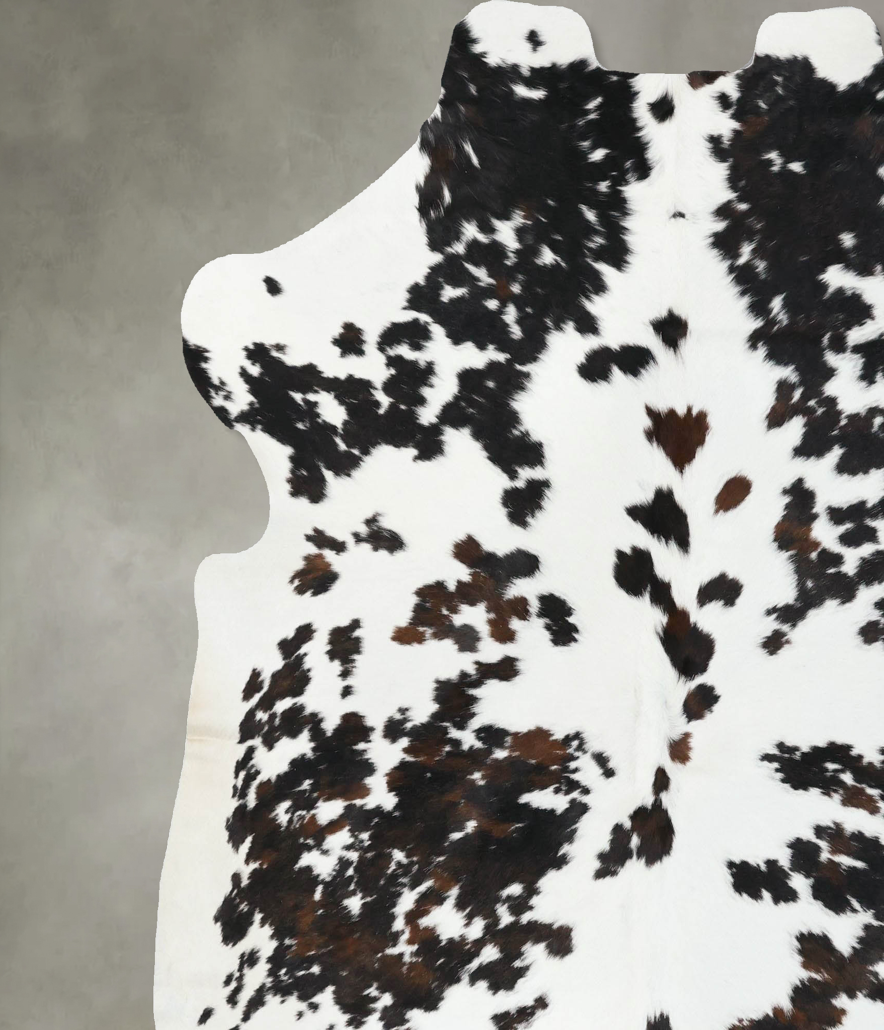 Tricolor Cowhide Rug #B22563