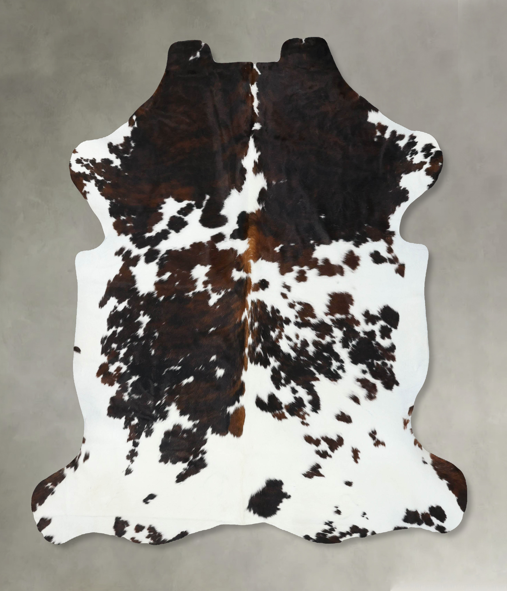 Tricolor Cowhide Rug #B22564