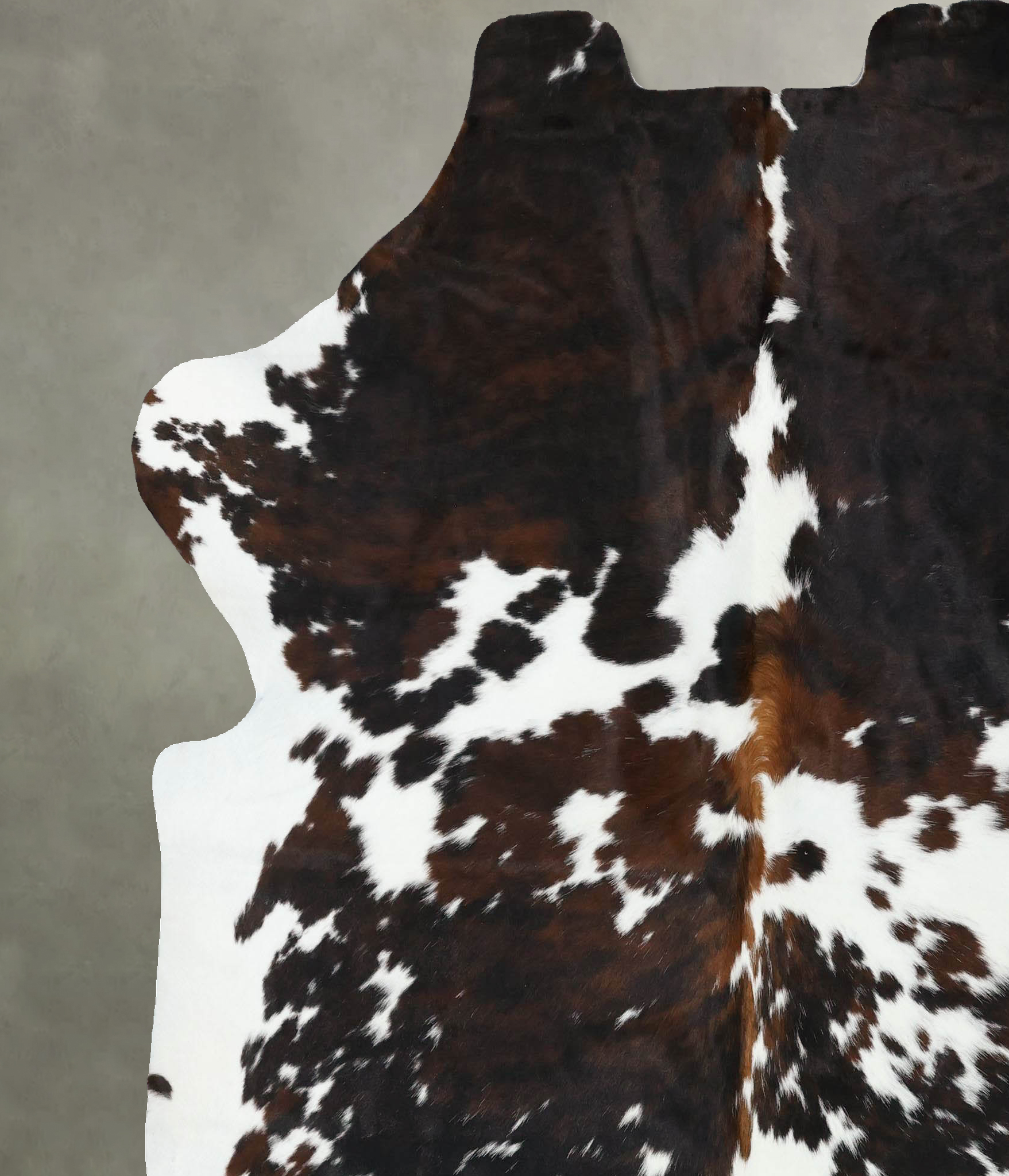 Tricolor Cowhide Rug #B22564
