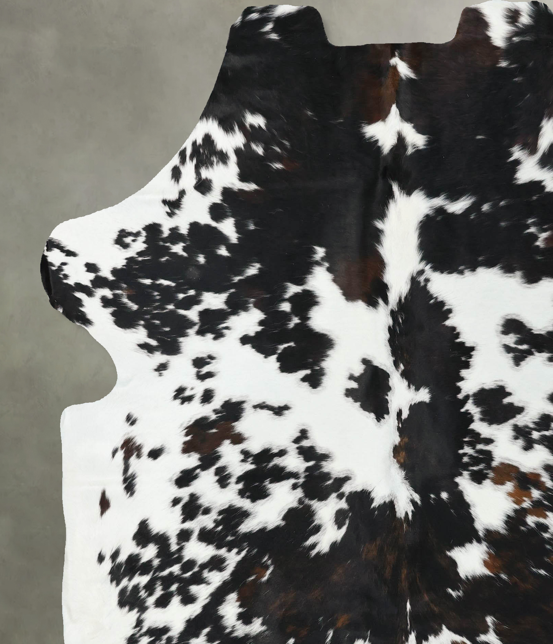 Tricolor Cowhide Rug #B22567