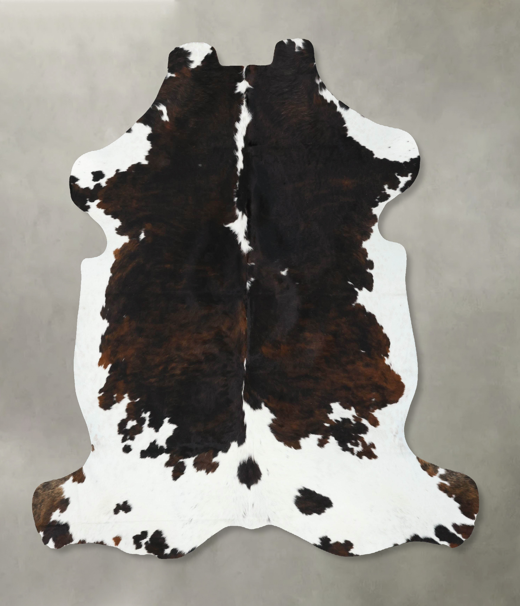 Tricolor Cowhide Rug #B22568