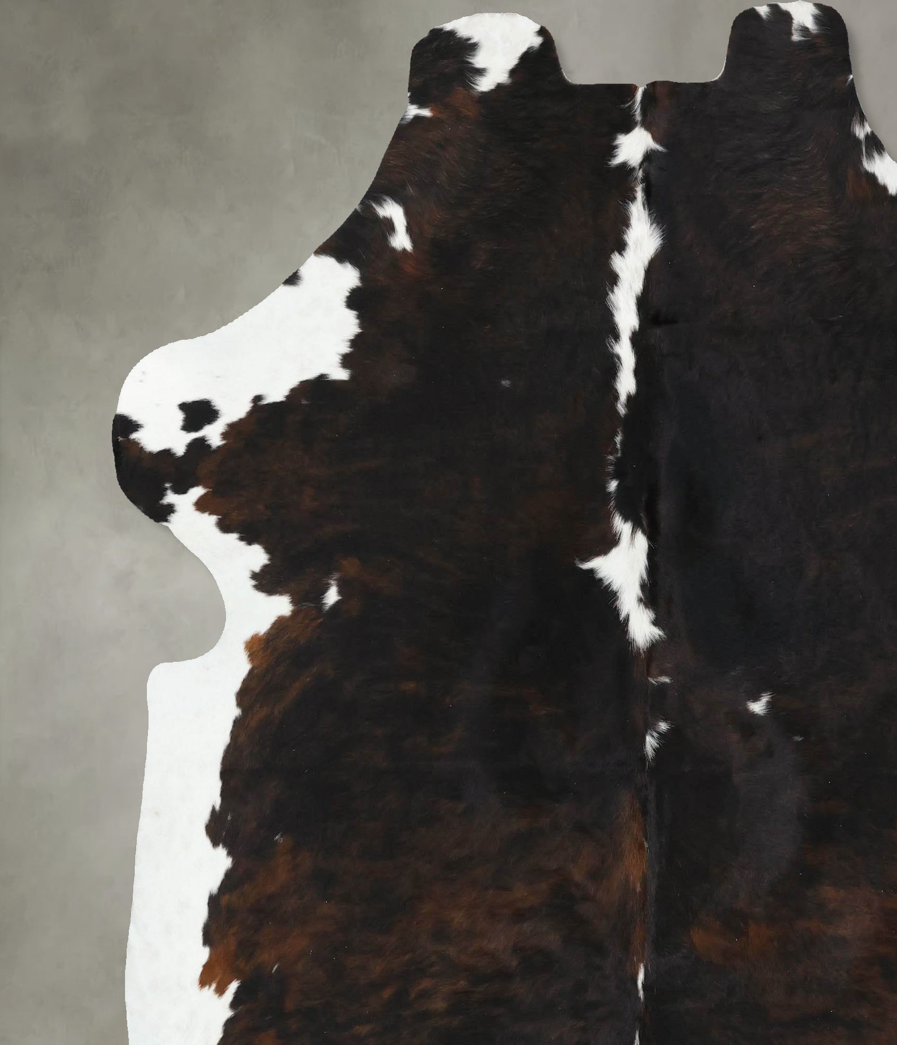 Tricolor Cowhide Rug #B22568