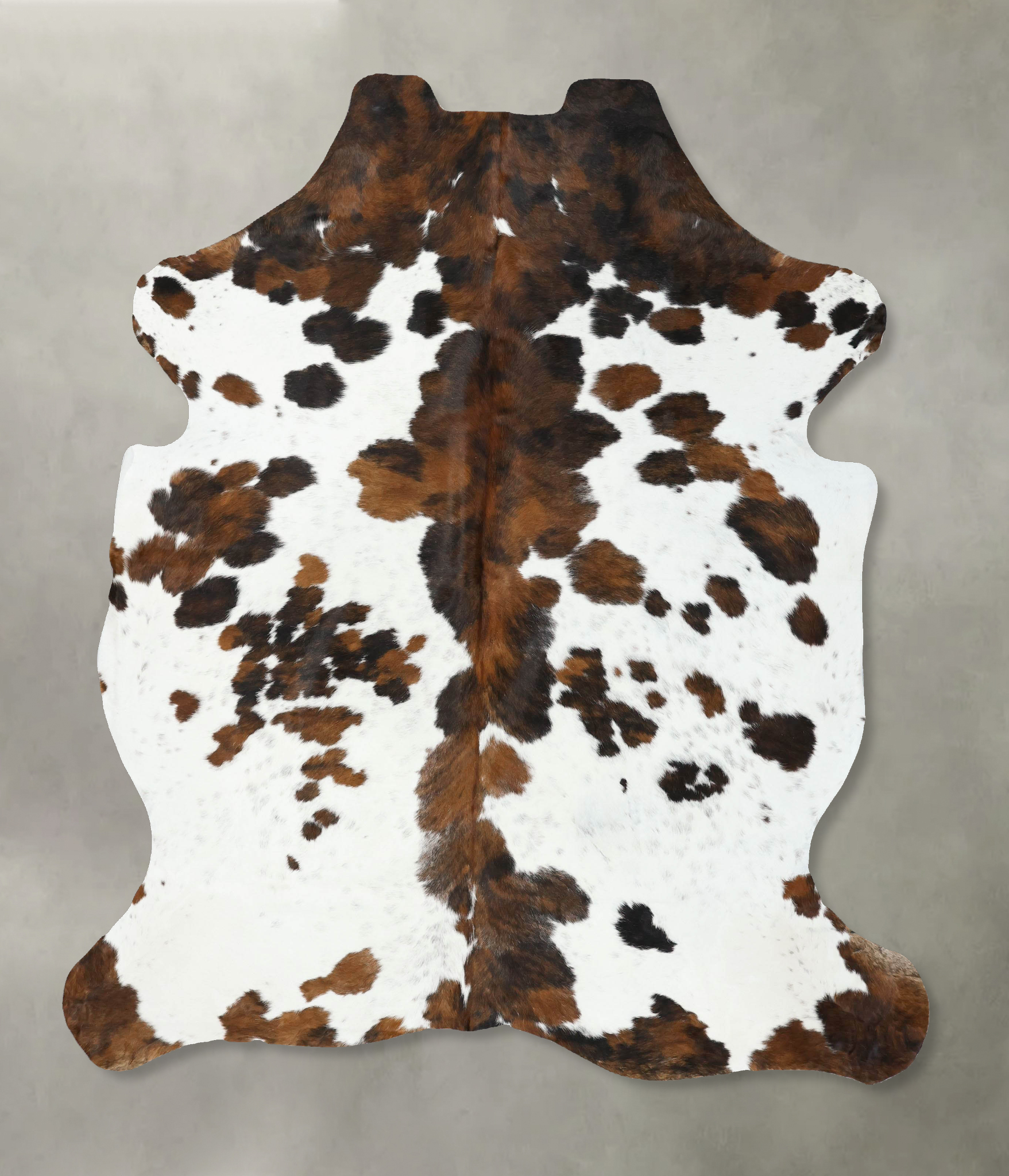 Tricolor Cowhide Rug #B22569