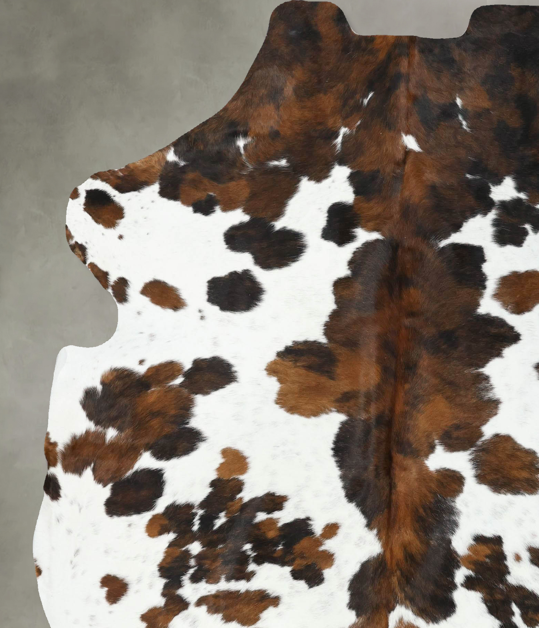 Tricolor Cowhide Rug #B22569