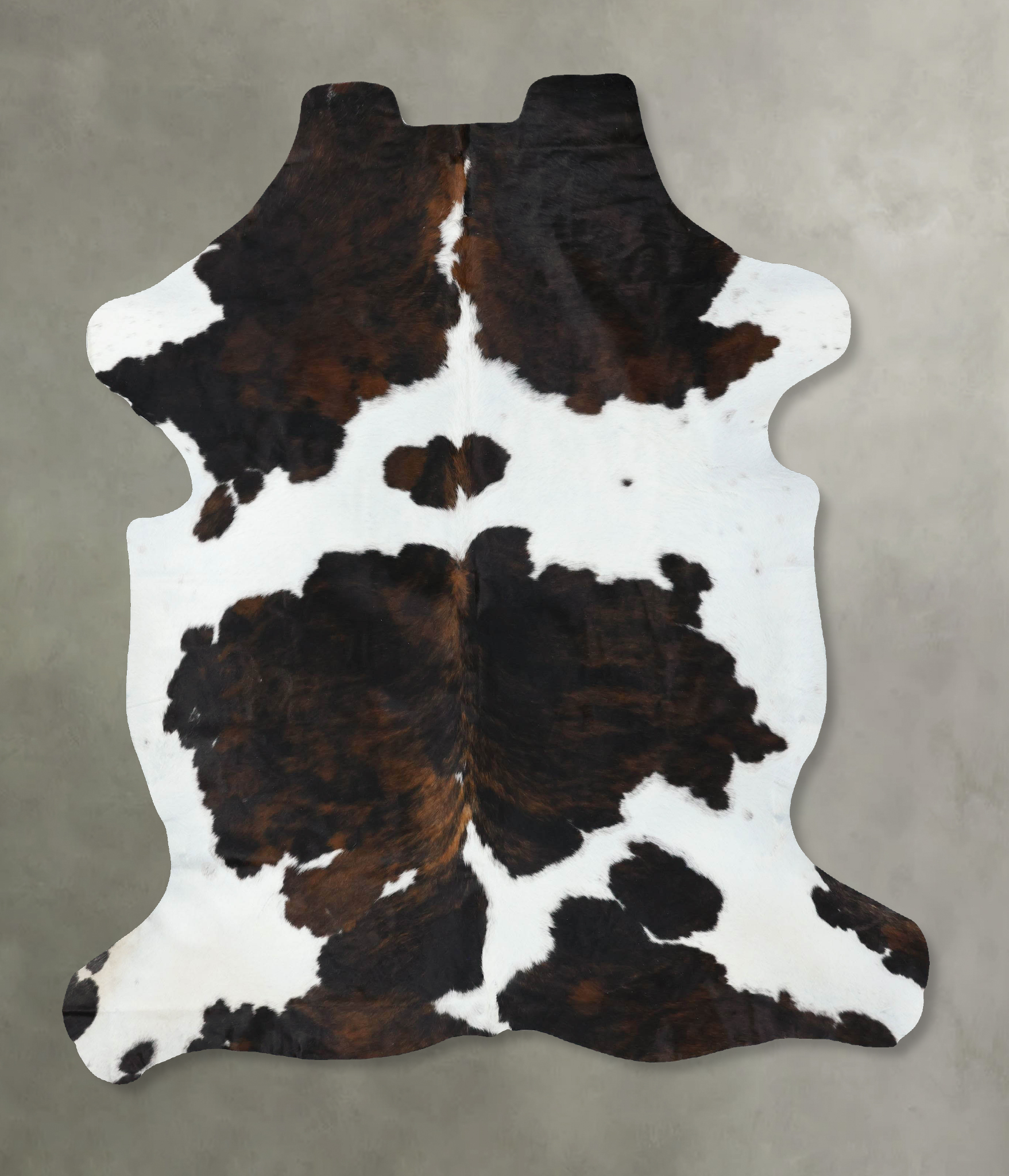 Tricolor Cowhide Rug #B22570