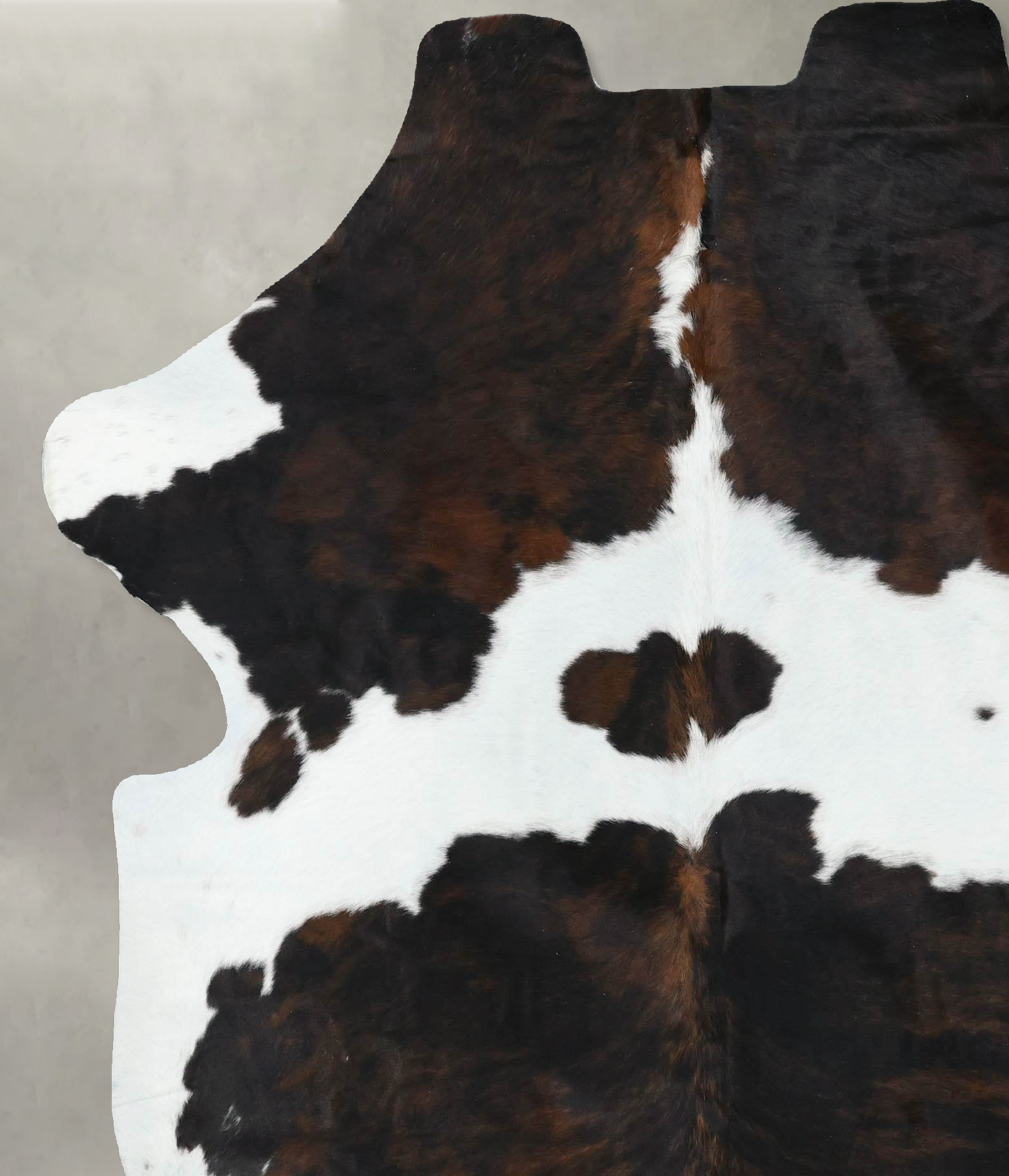 Tricolor Cowhide Rug #B22570
