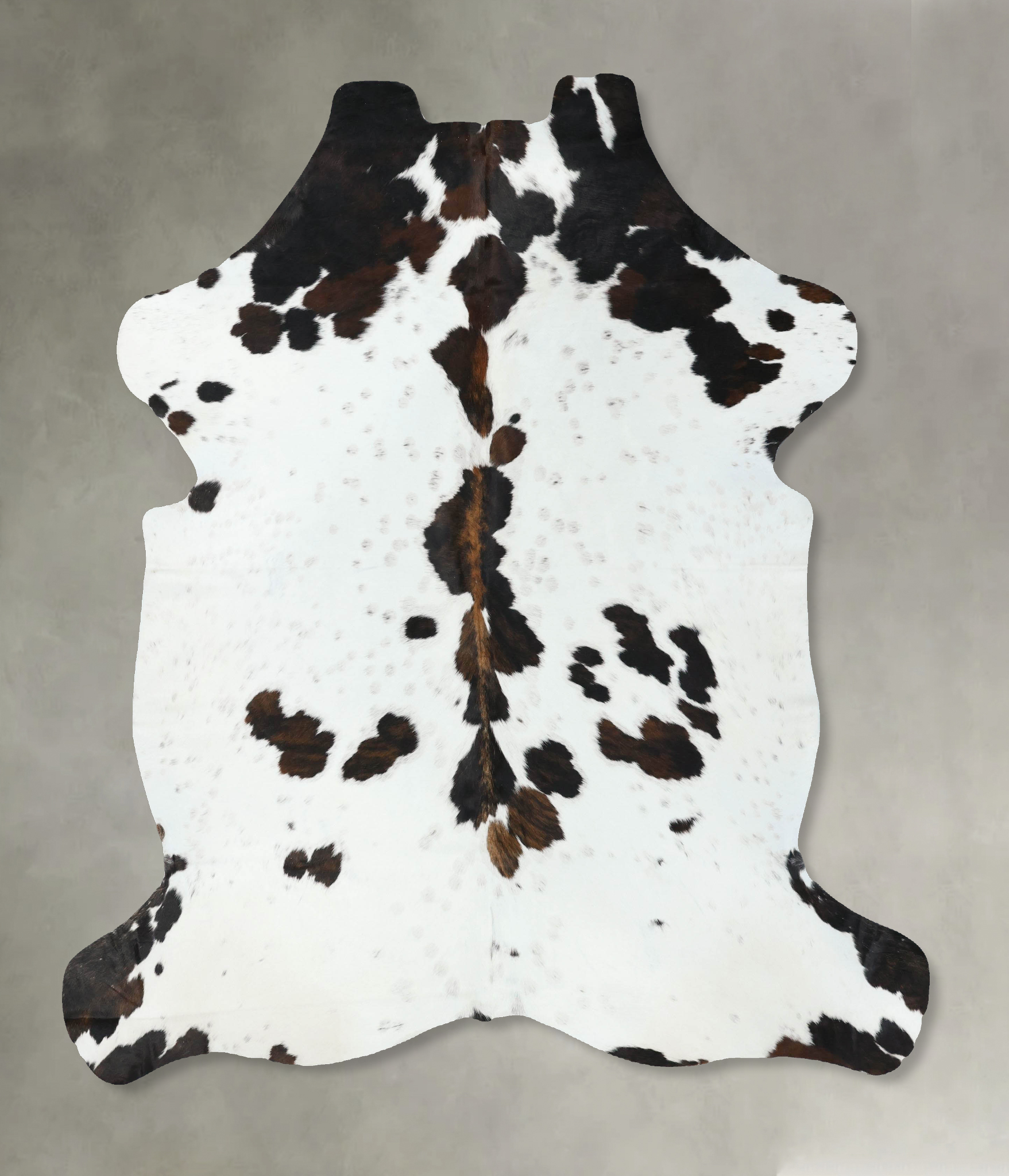 Tricolor Cowhide Rug #B22571