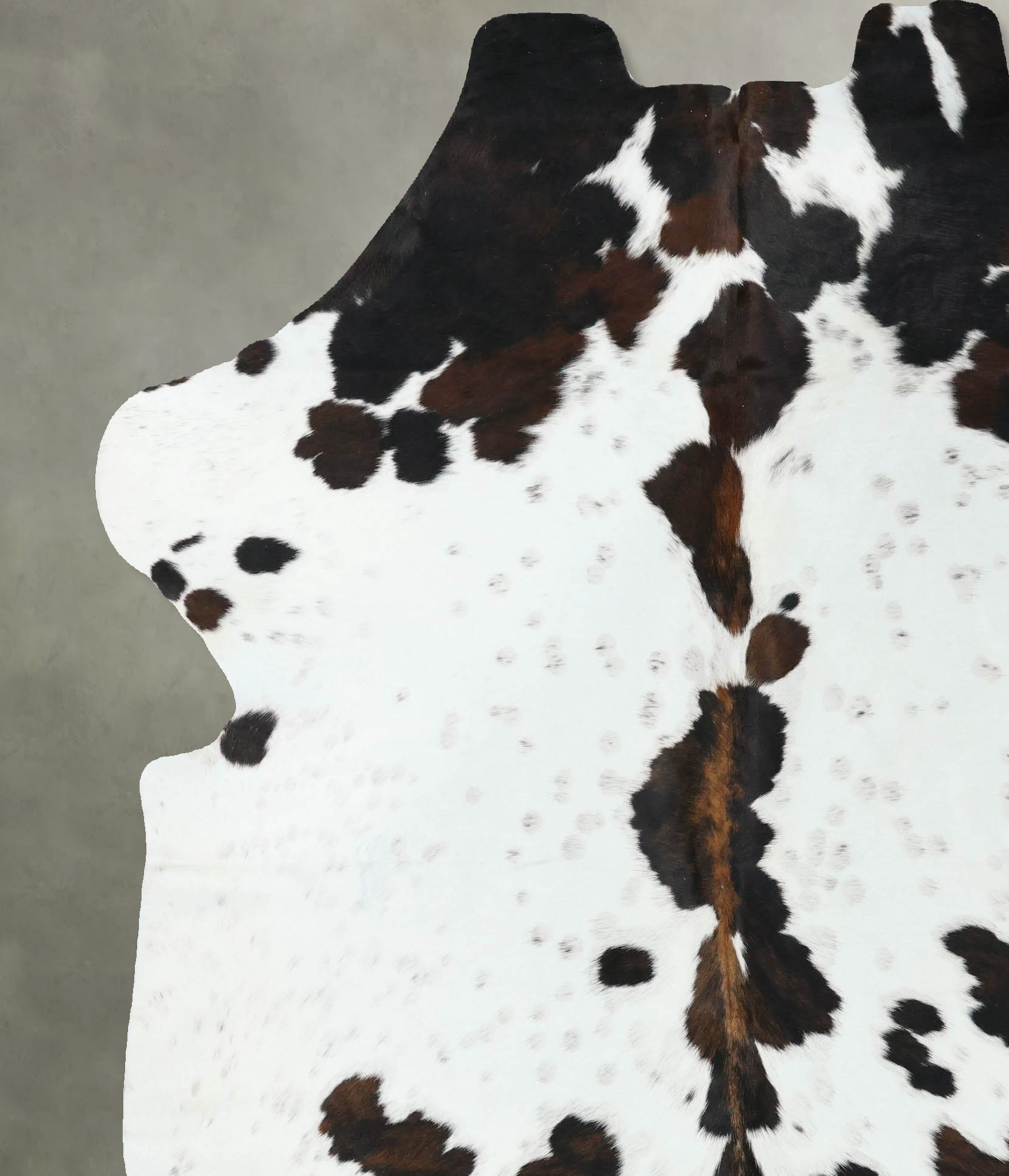 Tricolor Cowhide Rug #B22571