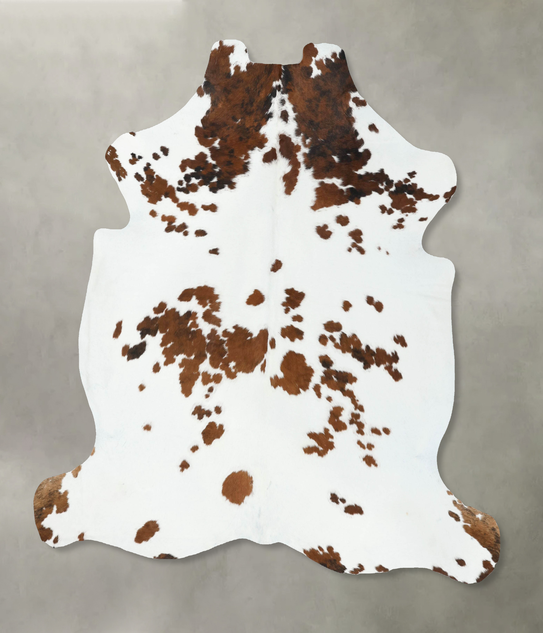 Tricolor Cowhide Rug #B22574