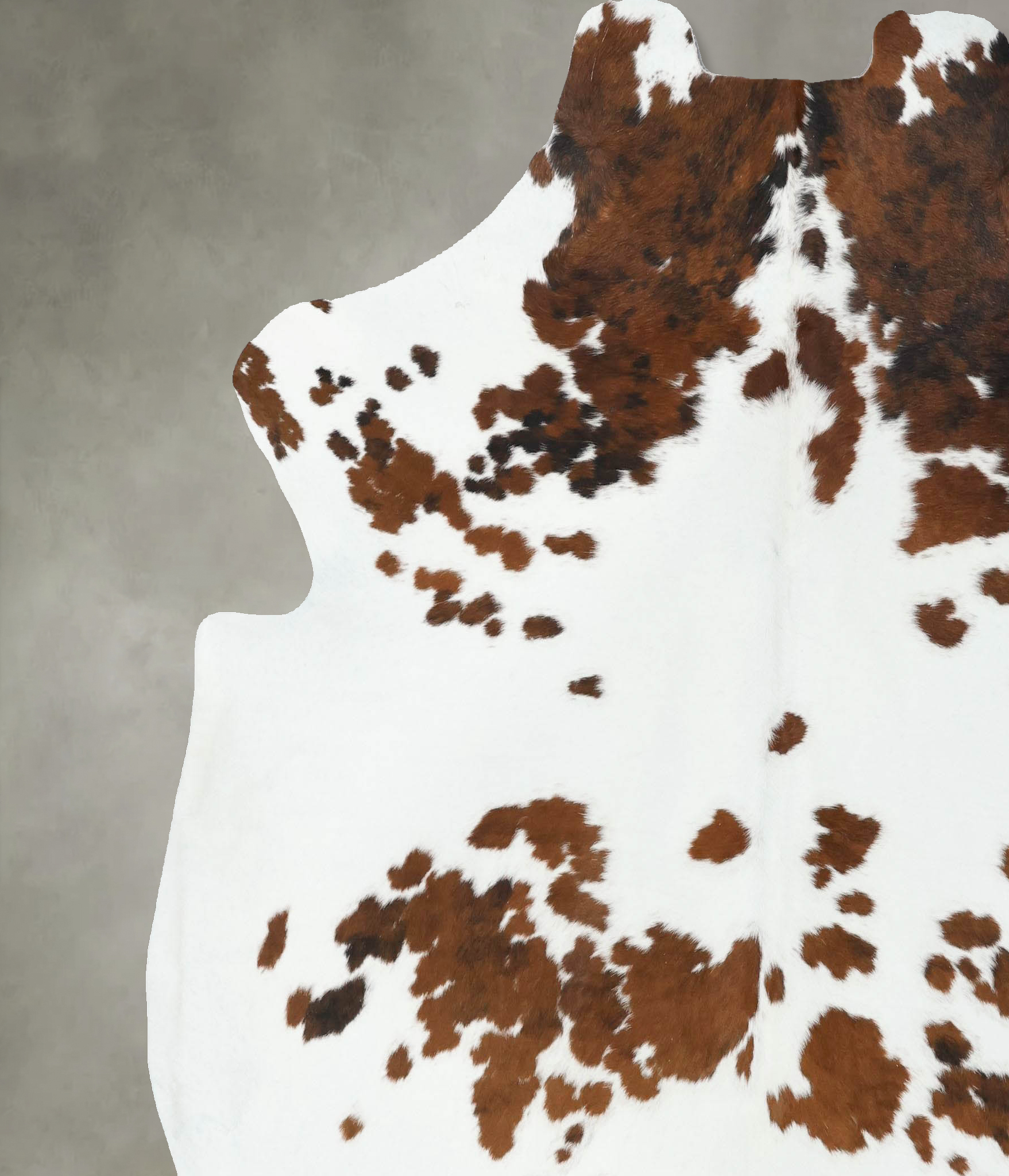 Tricolor Cowhide Rug #B22574