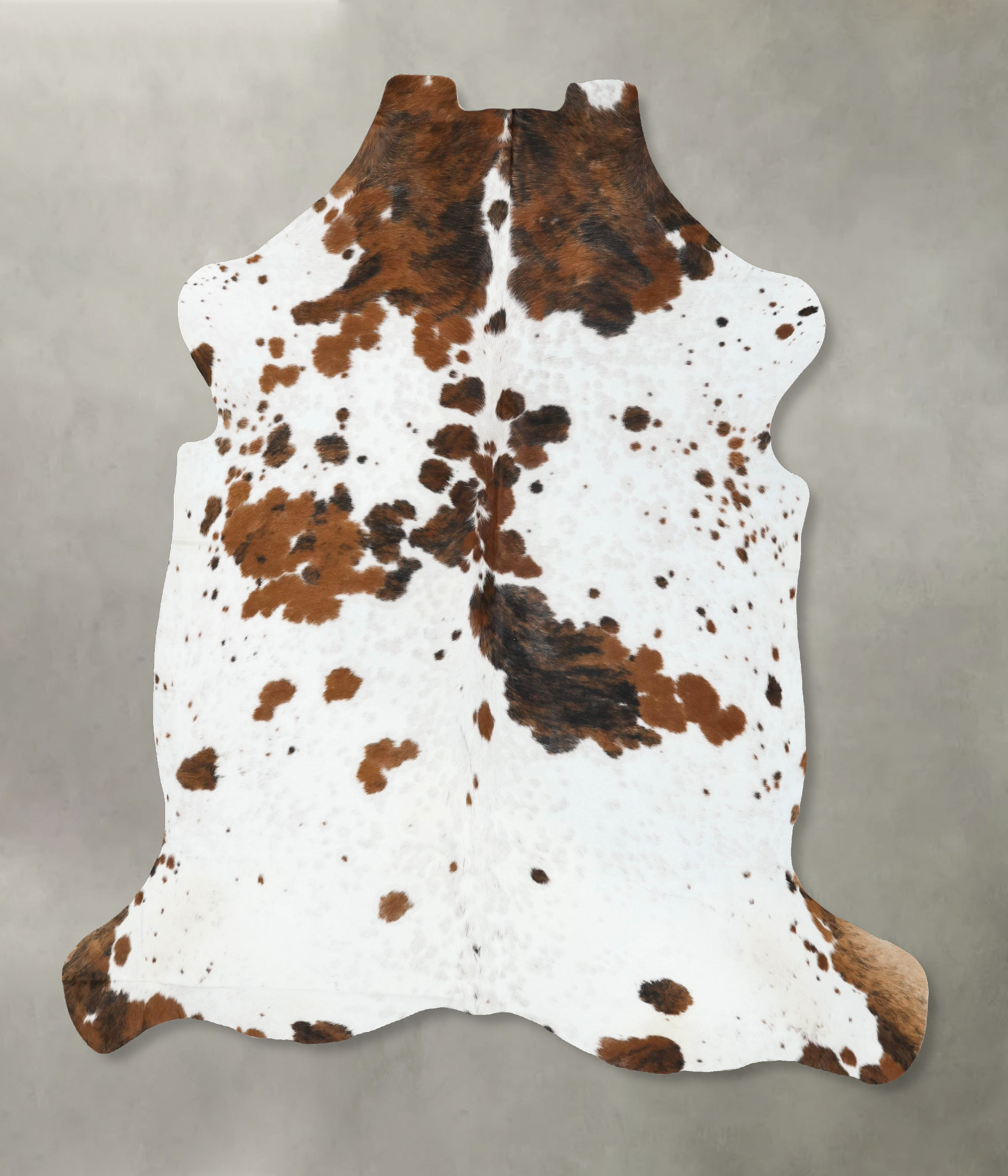 Tricolor Cowhide Rug #B22577