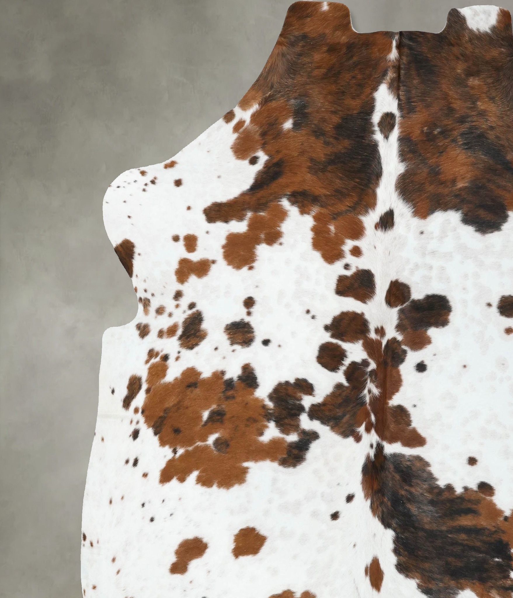 Tricolor Cowhide Rug #B22577