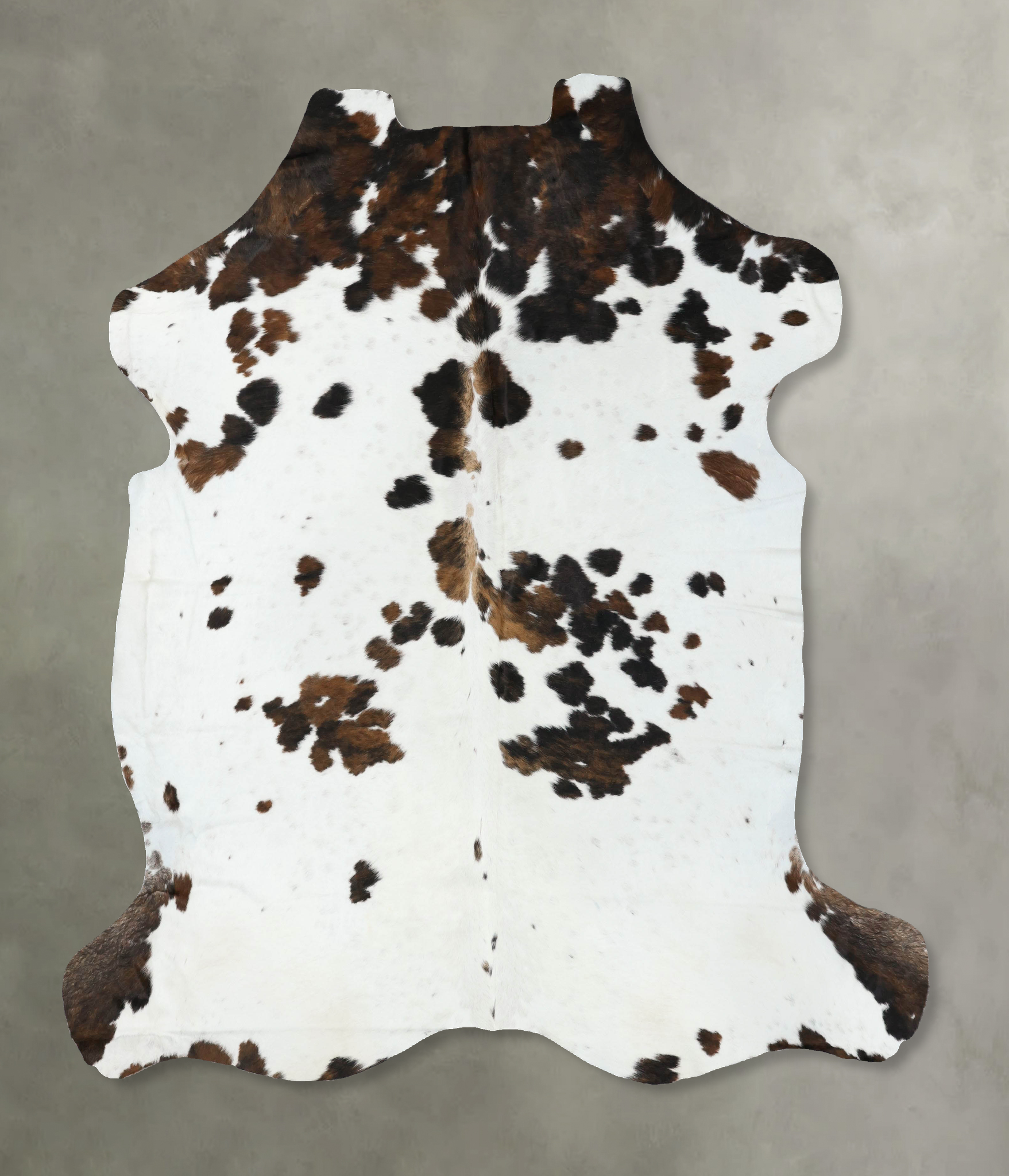 Tricolor Cowhide Rug #B22579