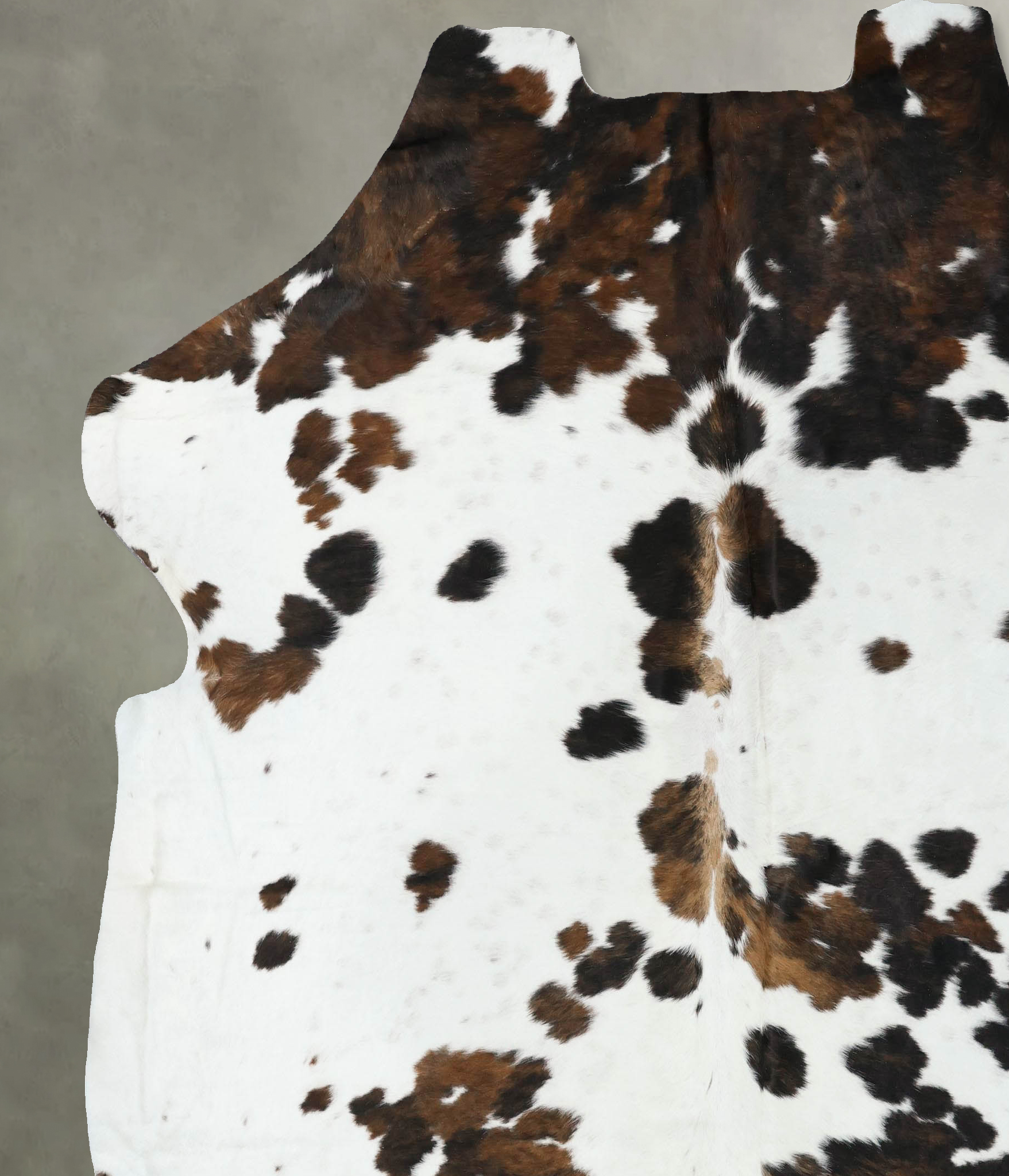Tricolor Cowhide Rug #B22579