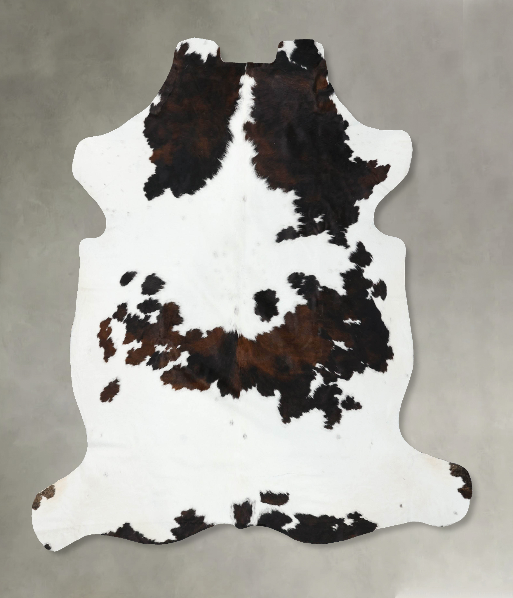 Tricolor Cowhide Rug #B22580
