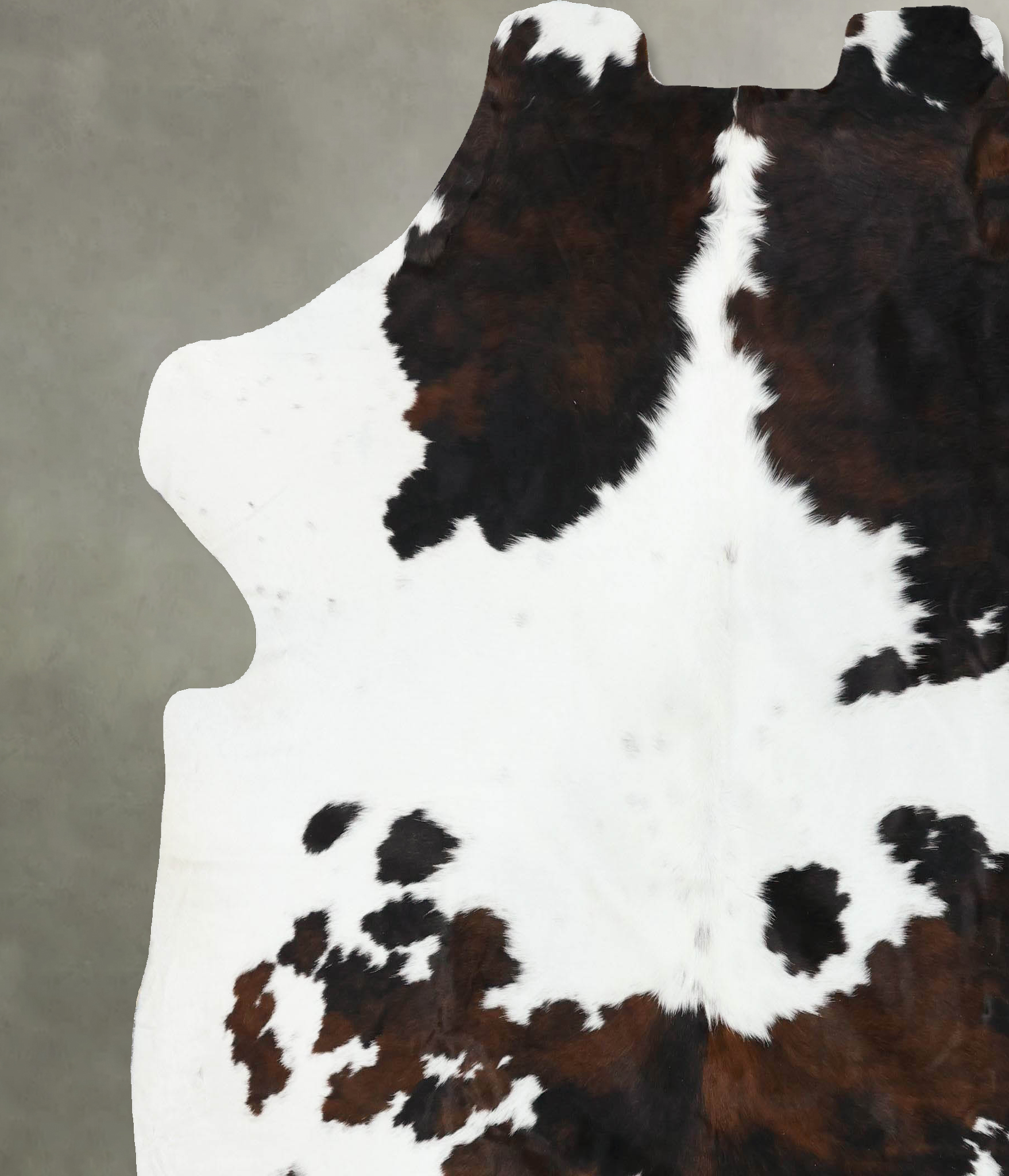 Tricolor Cowhide Rug #B22580