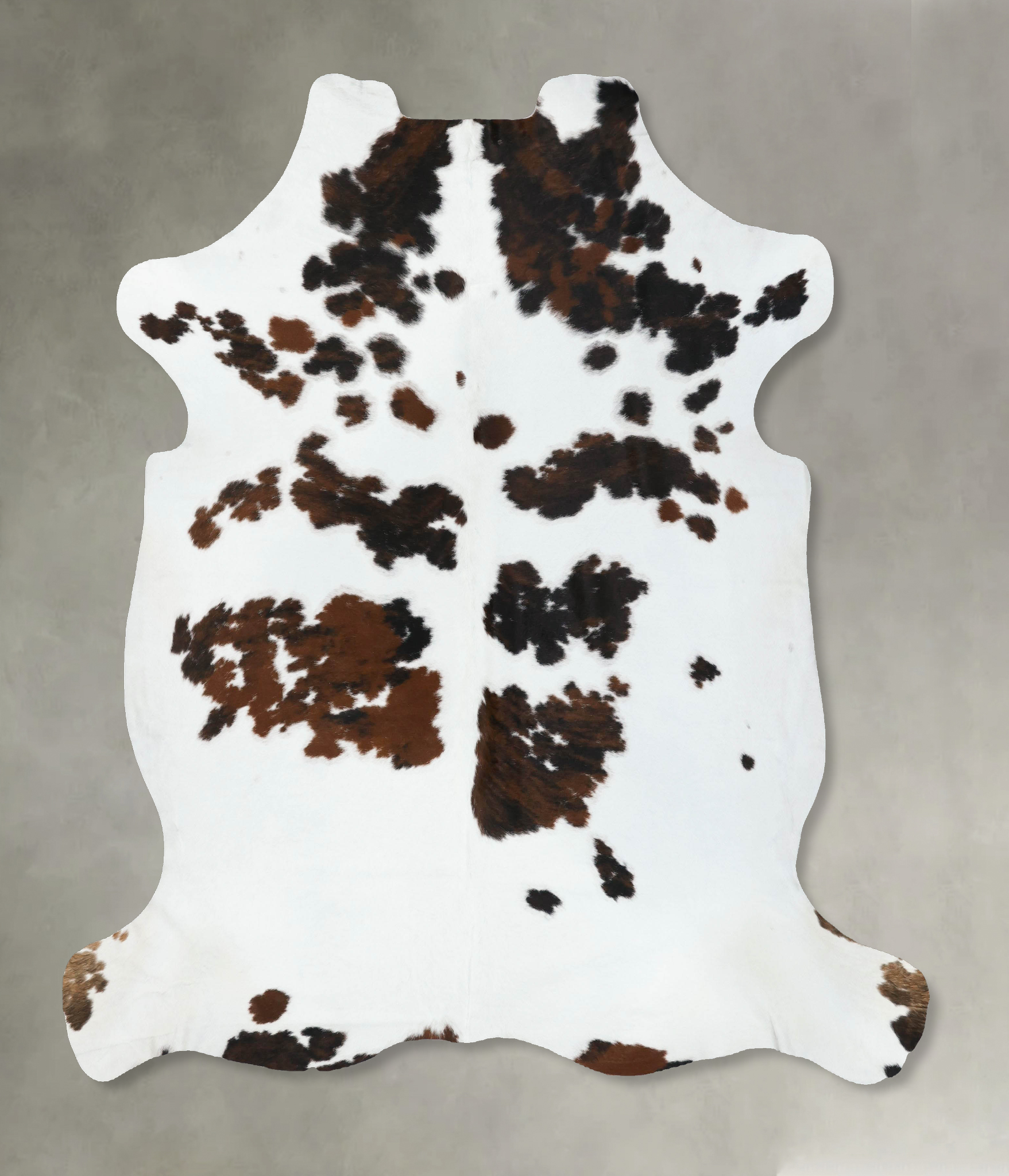 Tricolor Cowhide Rug #B22581