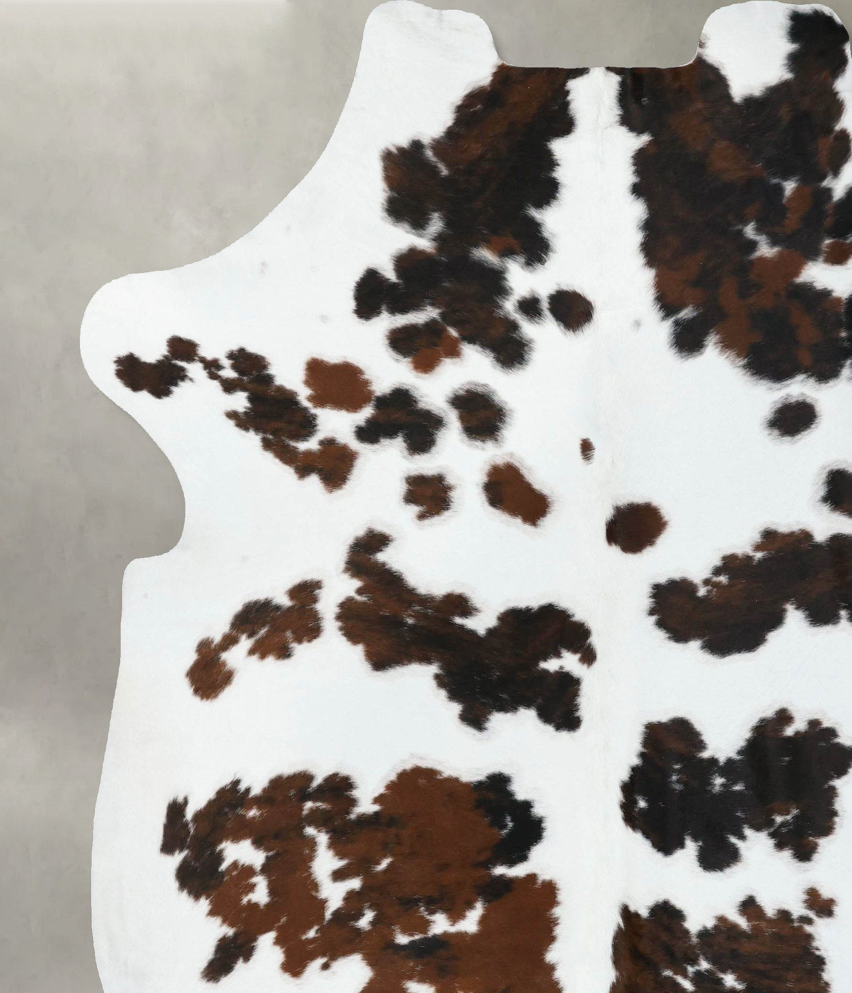 Tricolor Cowhide Rug #B22581