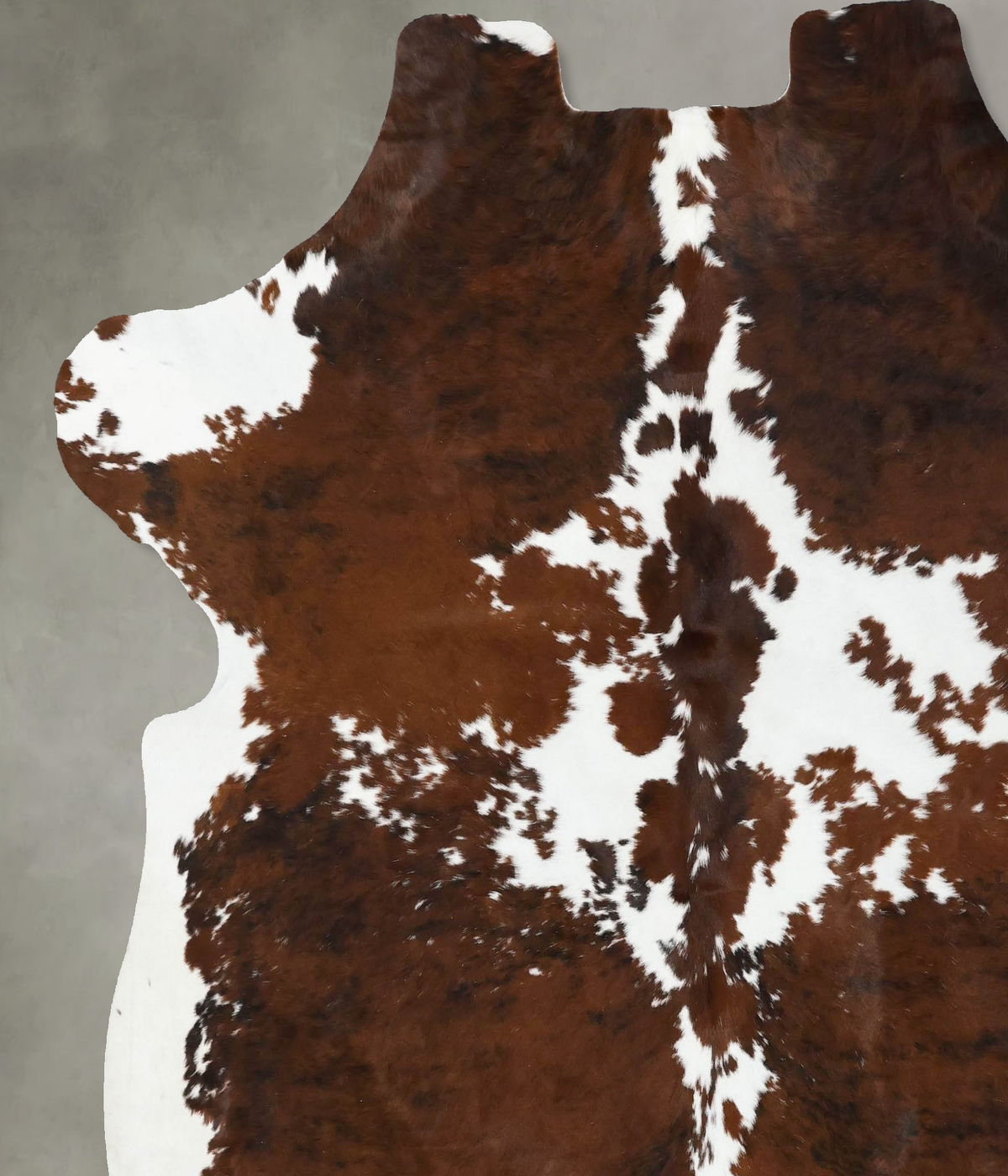 Tricolor X-Large European Cowhide Rug 7'4"H x 6'9"W #B22582 by Hudson Hides
