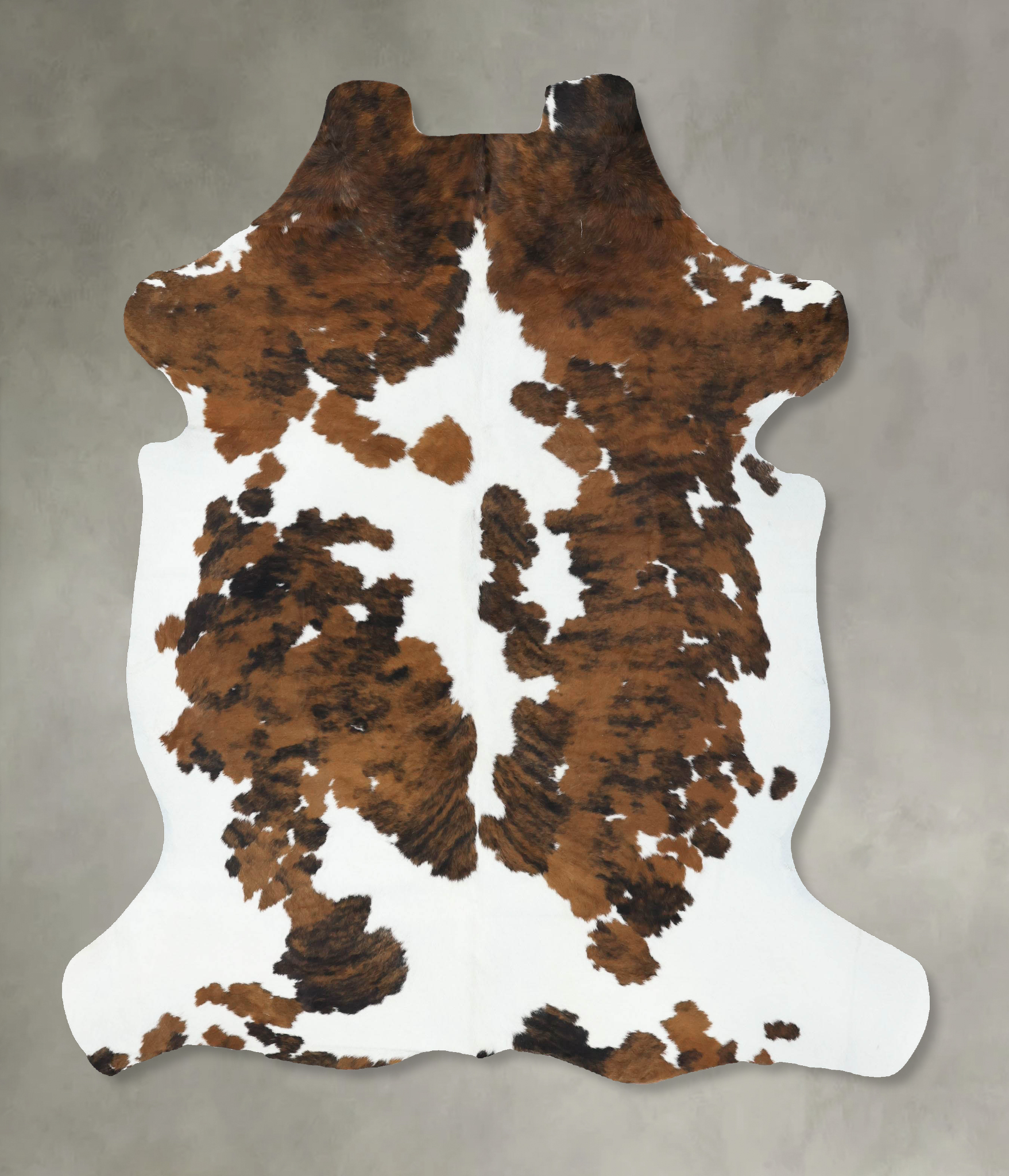 Tricolor Cowhide Rug #B22585