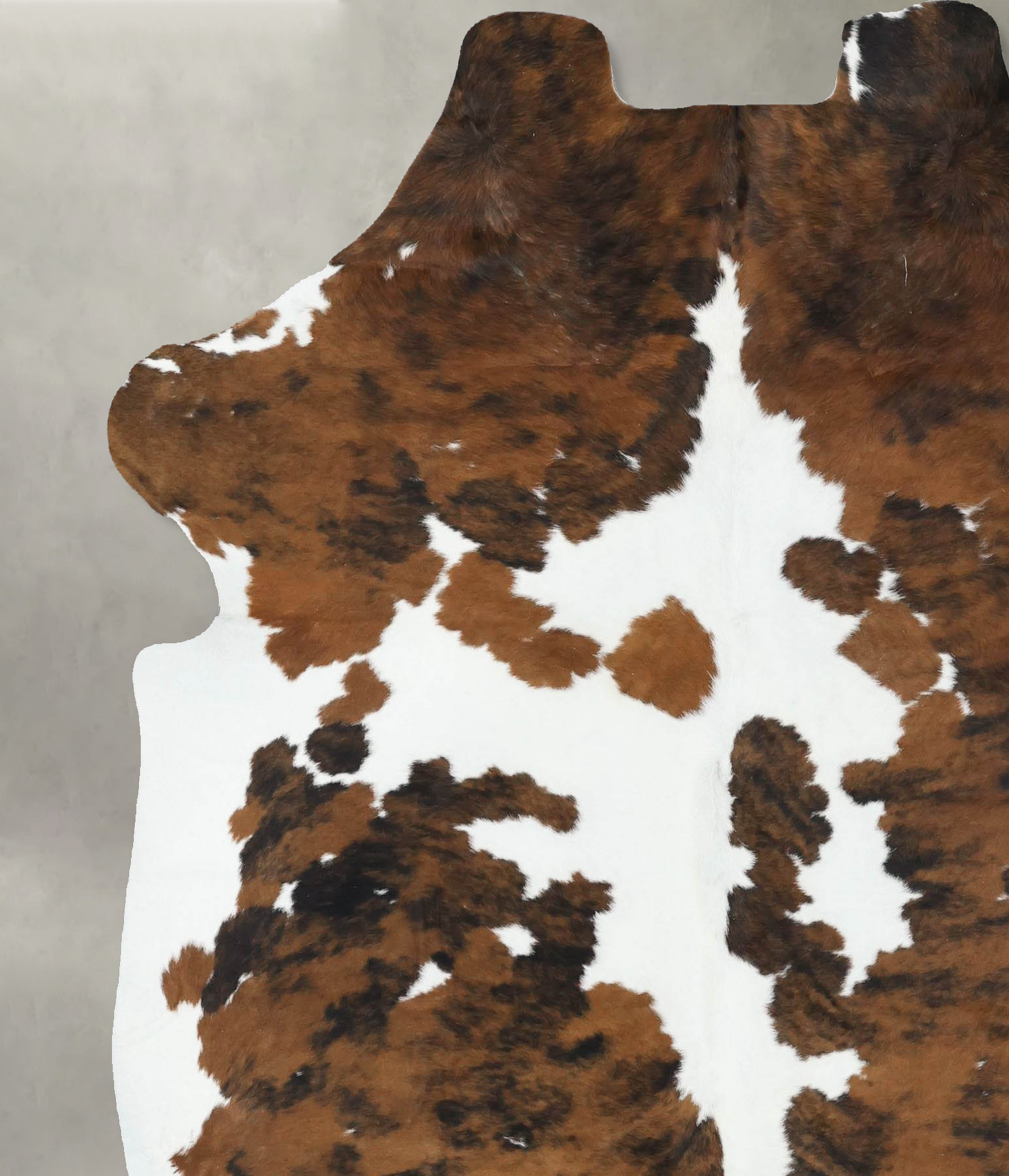 Tricolor Cowhide Rug #B22585