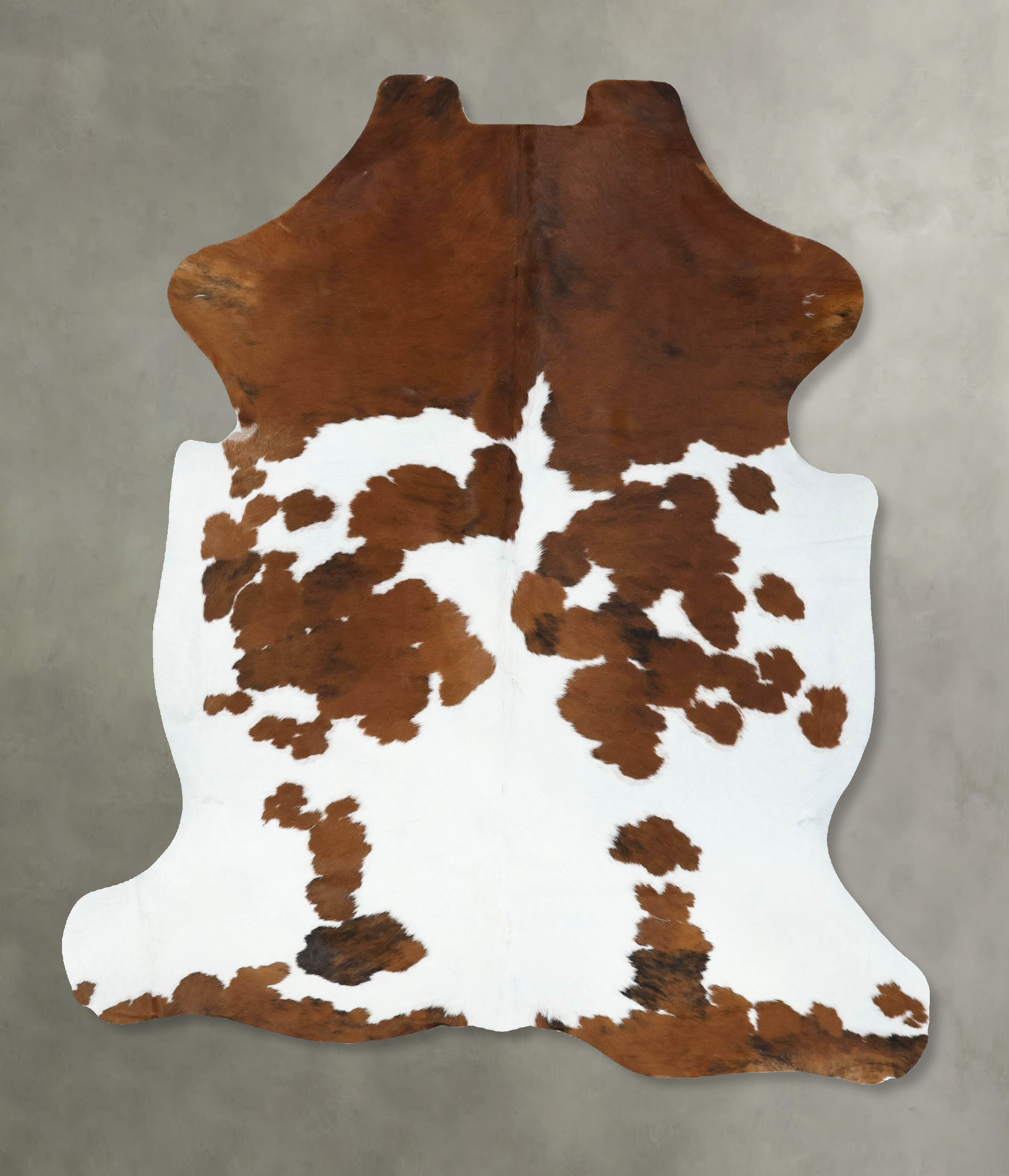 Tricolor Cowhide Rug #B22586