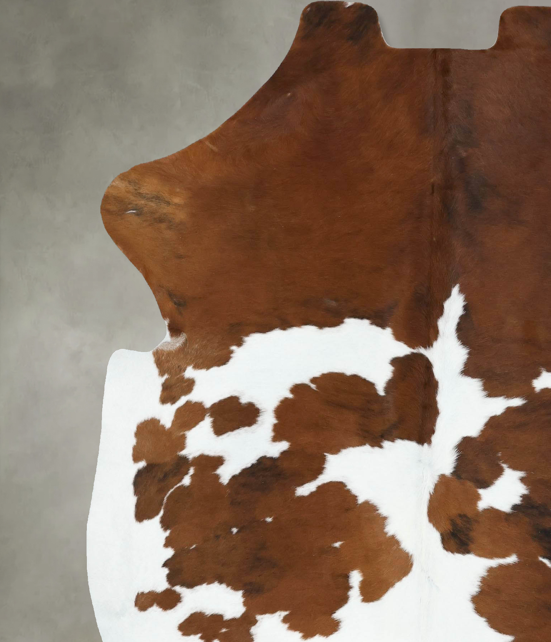Tricolor Cowhide Rug #B22586
