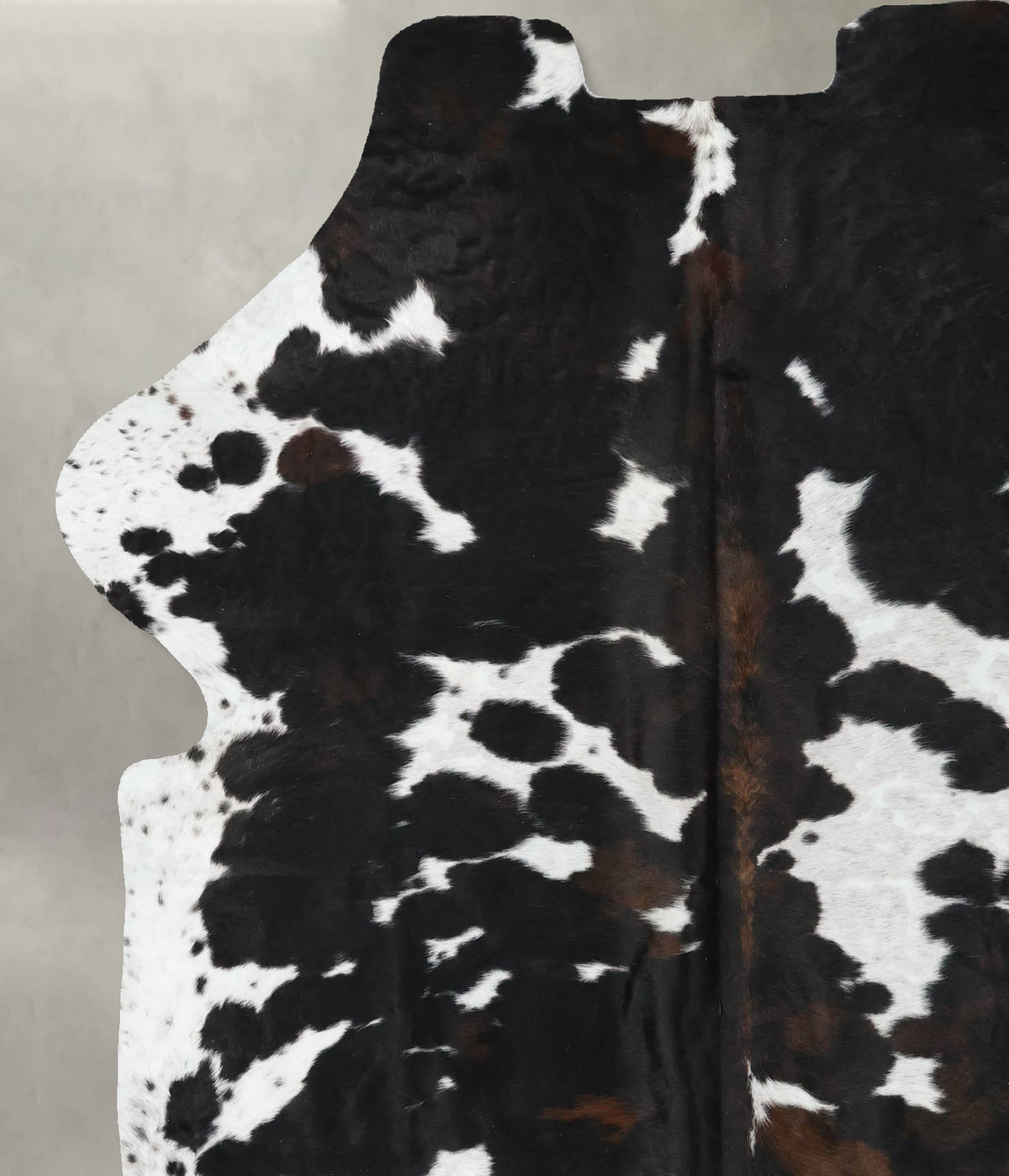 Tricolor X-Large European Cowhide Rug 7'5"H x 5'8"W #B22590 by Hudson Hides