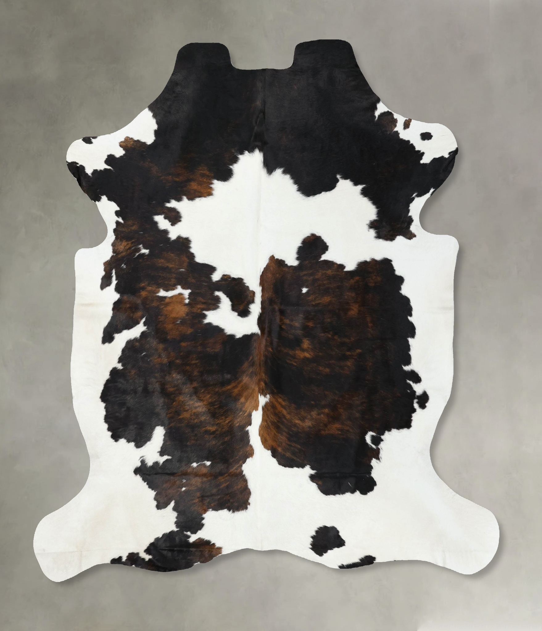 Tricolor Cowhide Rug #B22591