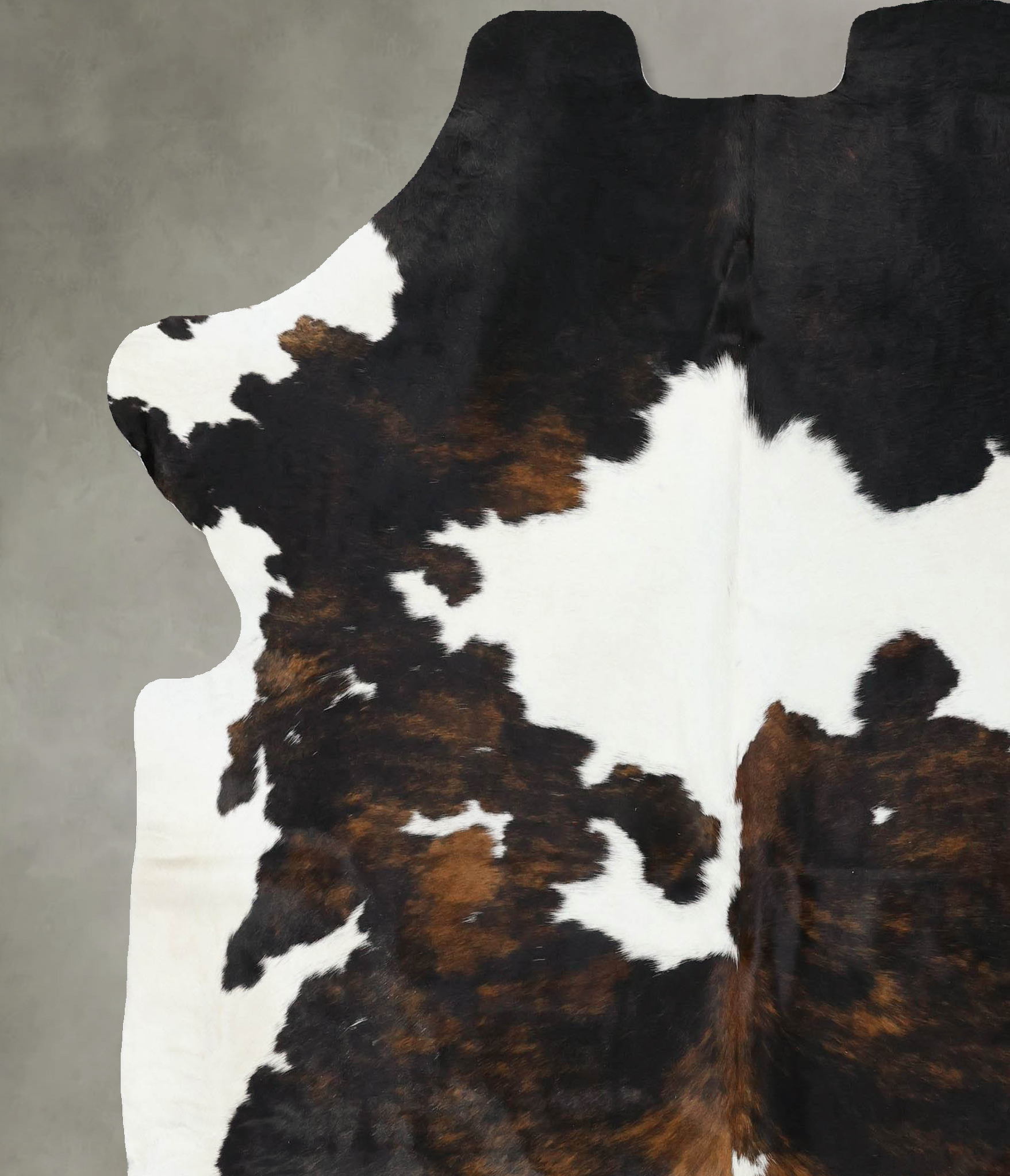 Tricolor Cowhide Rug #B22591
