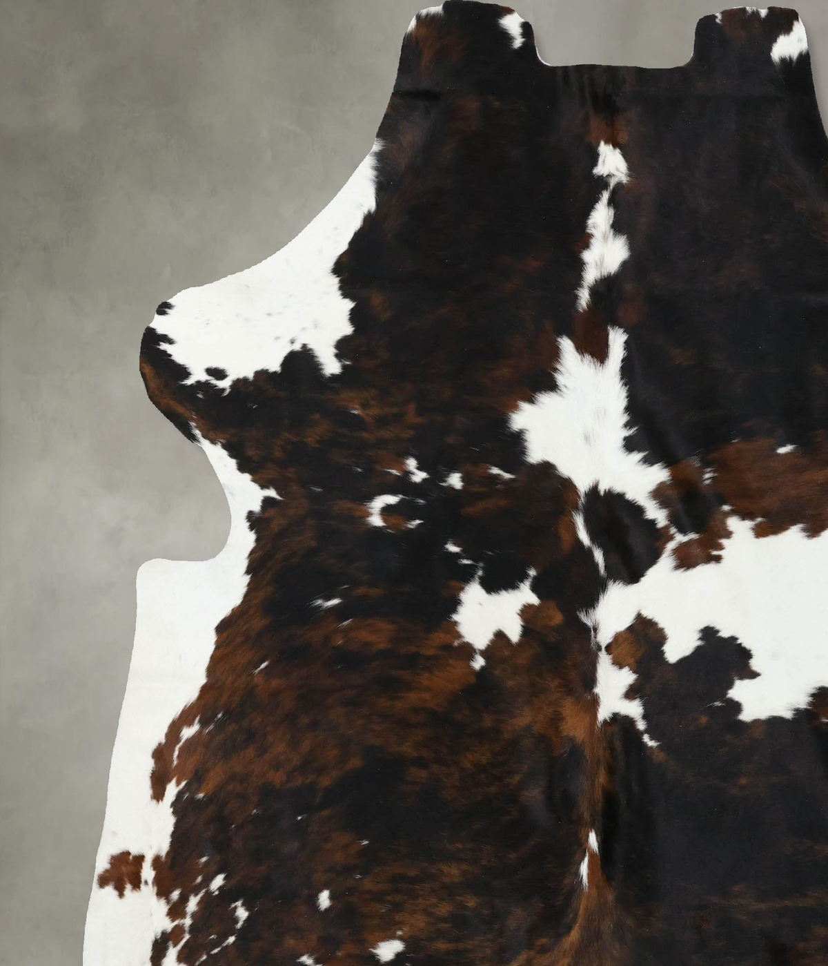 Tricolor X-Large European Cowhide Rug 7'6"H x 6'6"W #B22593 by Hudson Hides