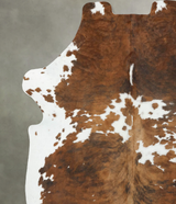 Tricolor X-Large European Cowhide Rug 7'3"H x 6'7"W #B22594 by Hudson Hides