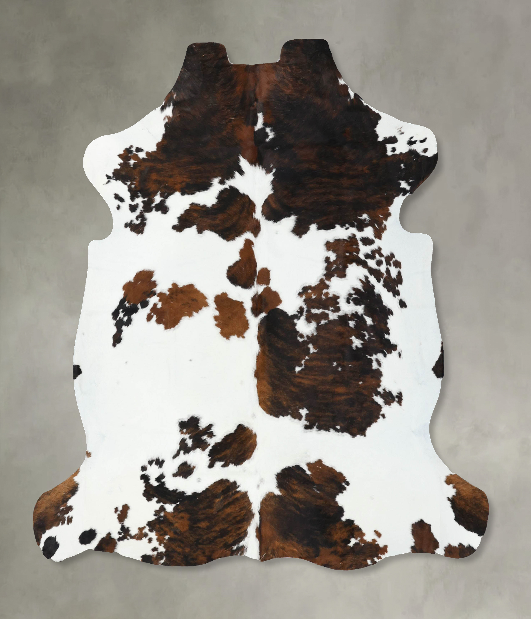 Tricolor Cowhide Rug #B22595