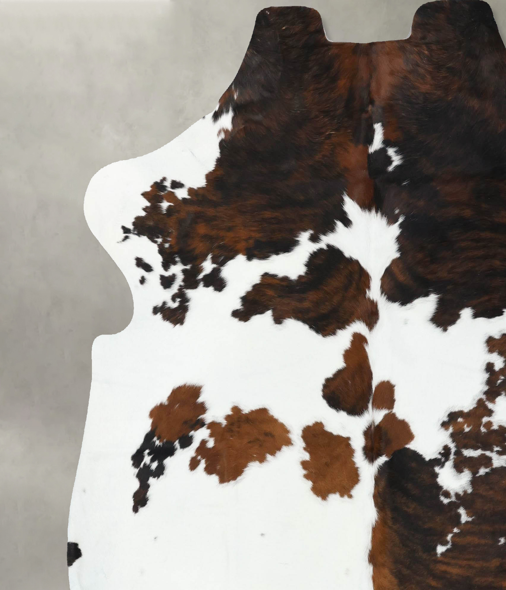 Tricolor Cowhide Rug #B22595