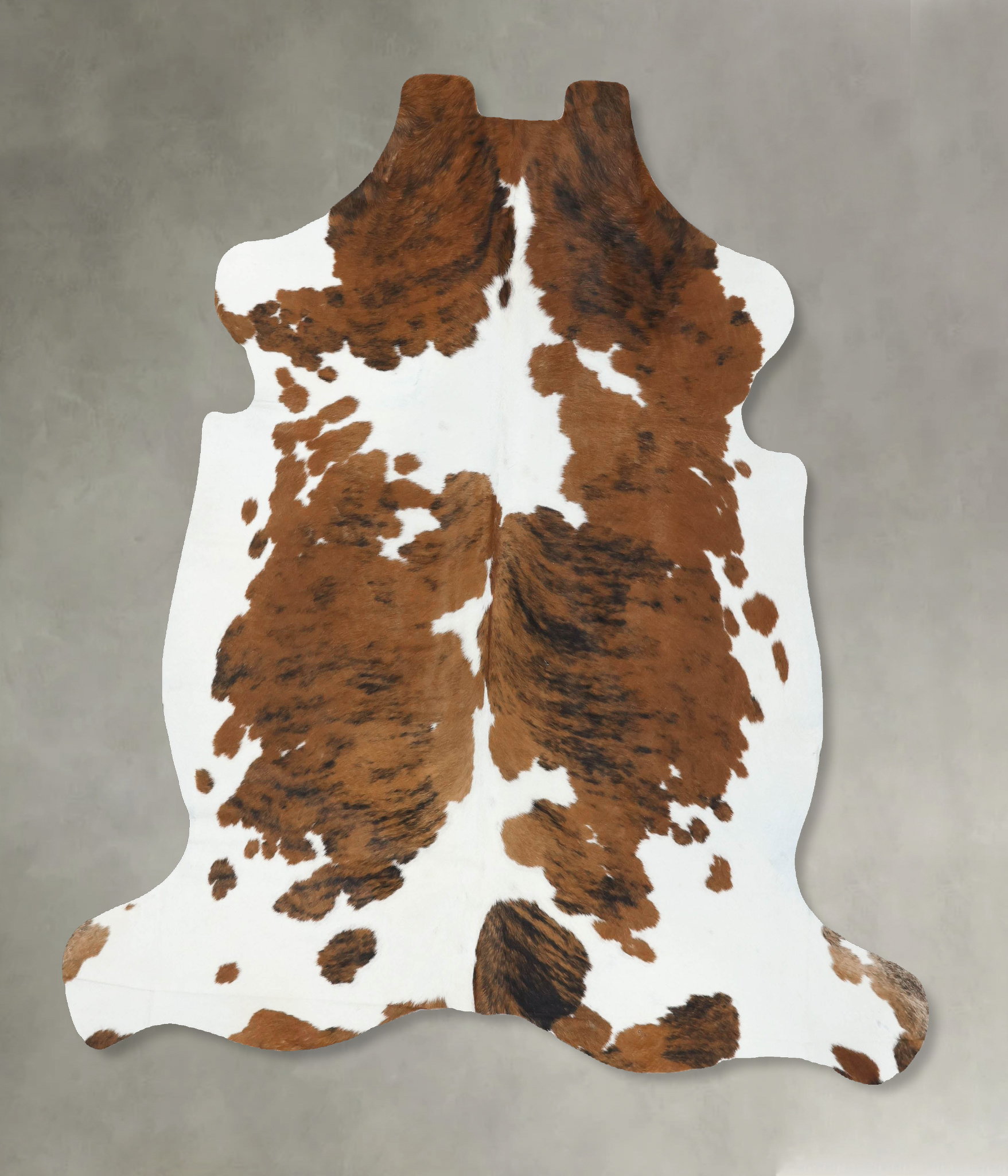 Tricolor Cowhide Rug #B22596