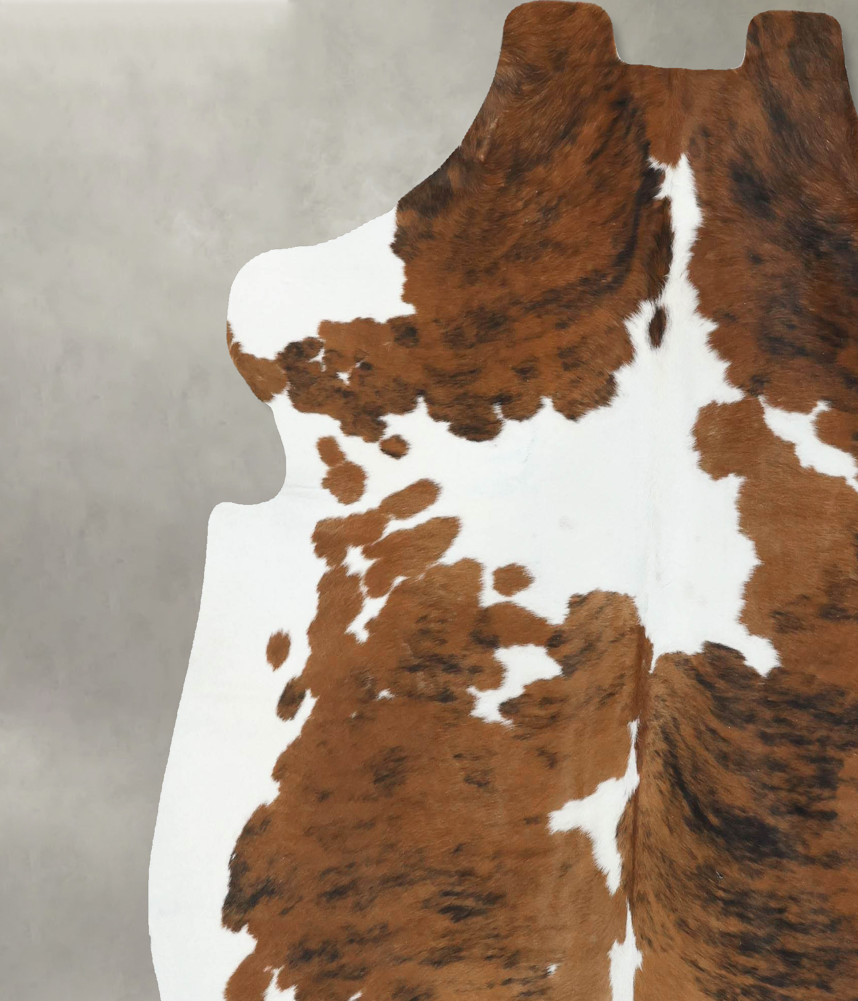 Tricolor Cowhide Rug #B22596