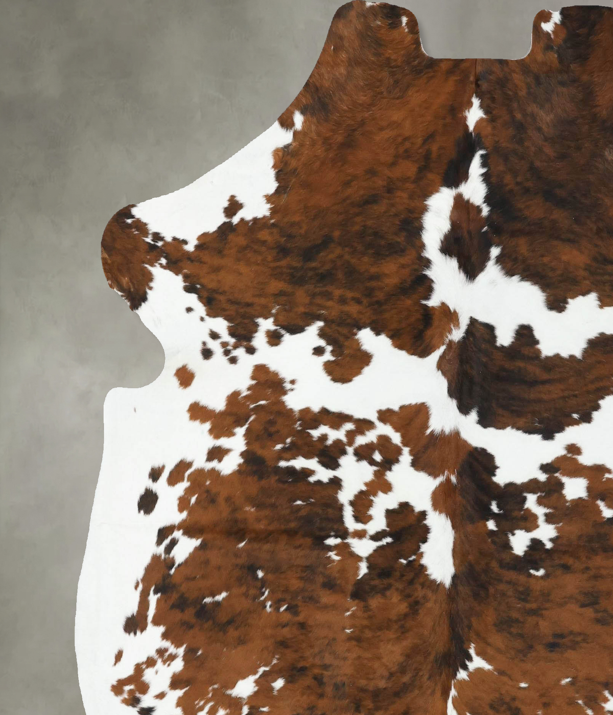Tricolor X-Large European Cowhide Rug 7'1"H x 6'4"W #B22597 by Hudson Hides