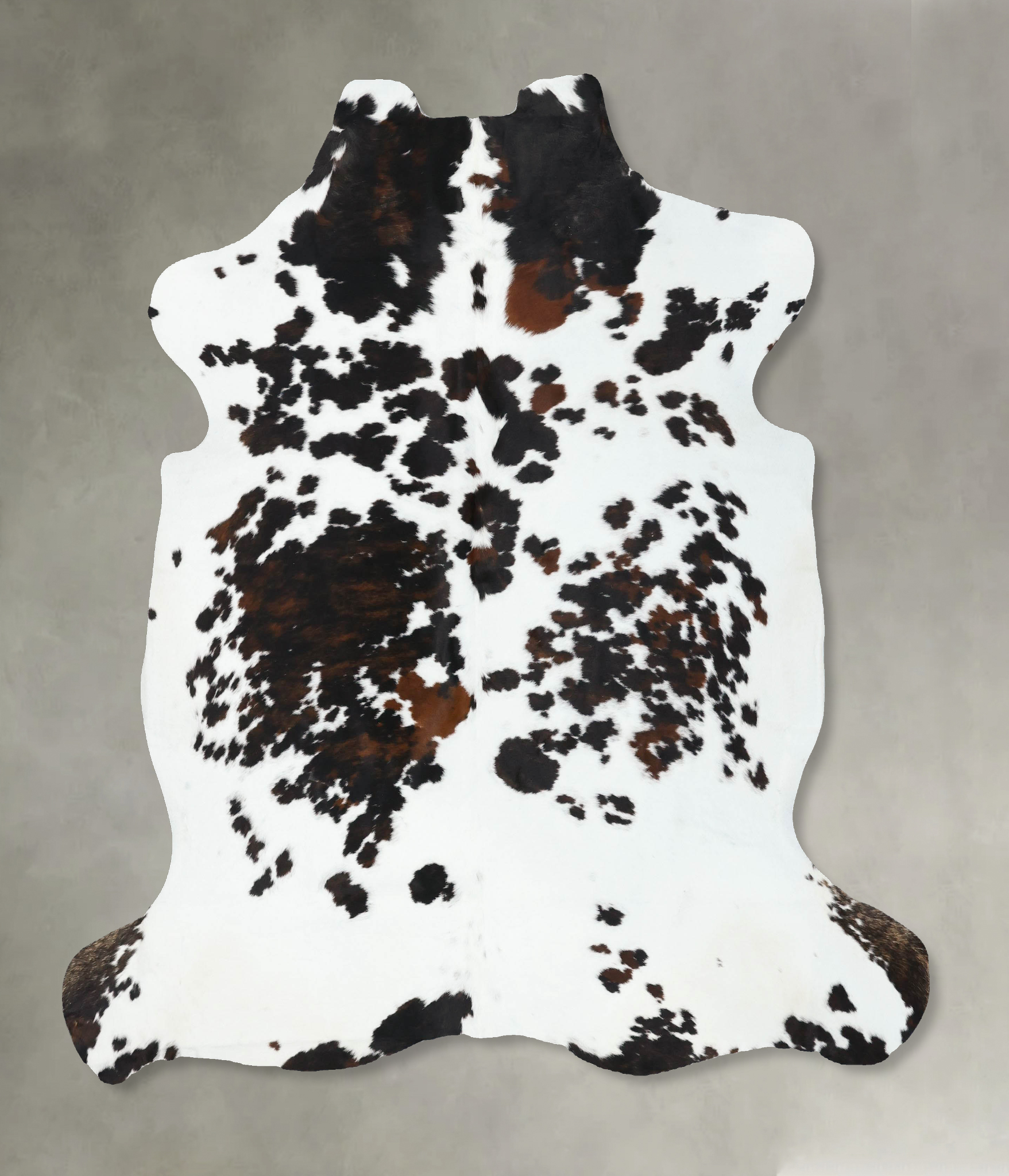 Tricolor Cowhide Rug #B22599